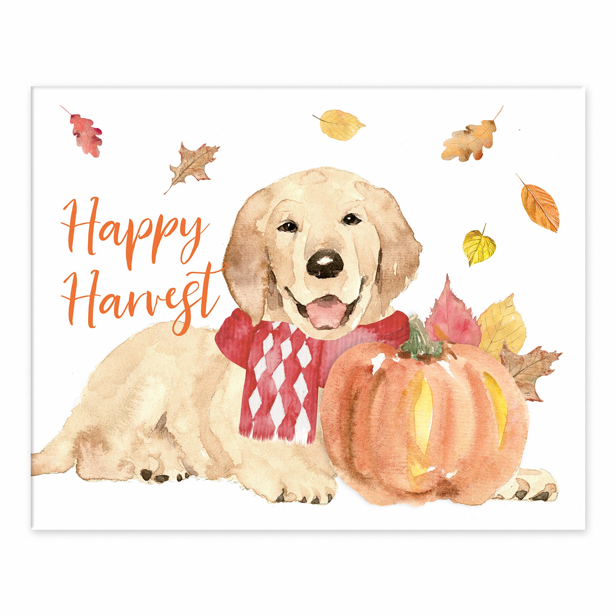 Happy Harvest Dog 10x8 Tabletop Canvas