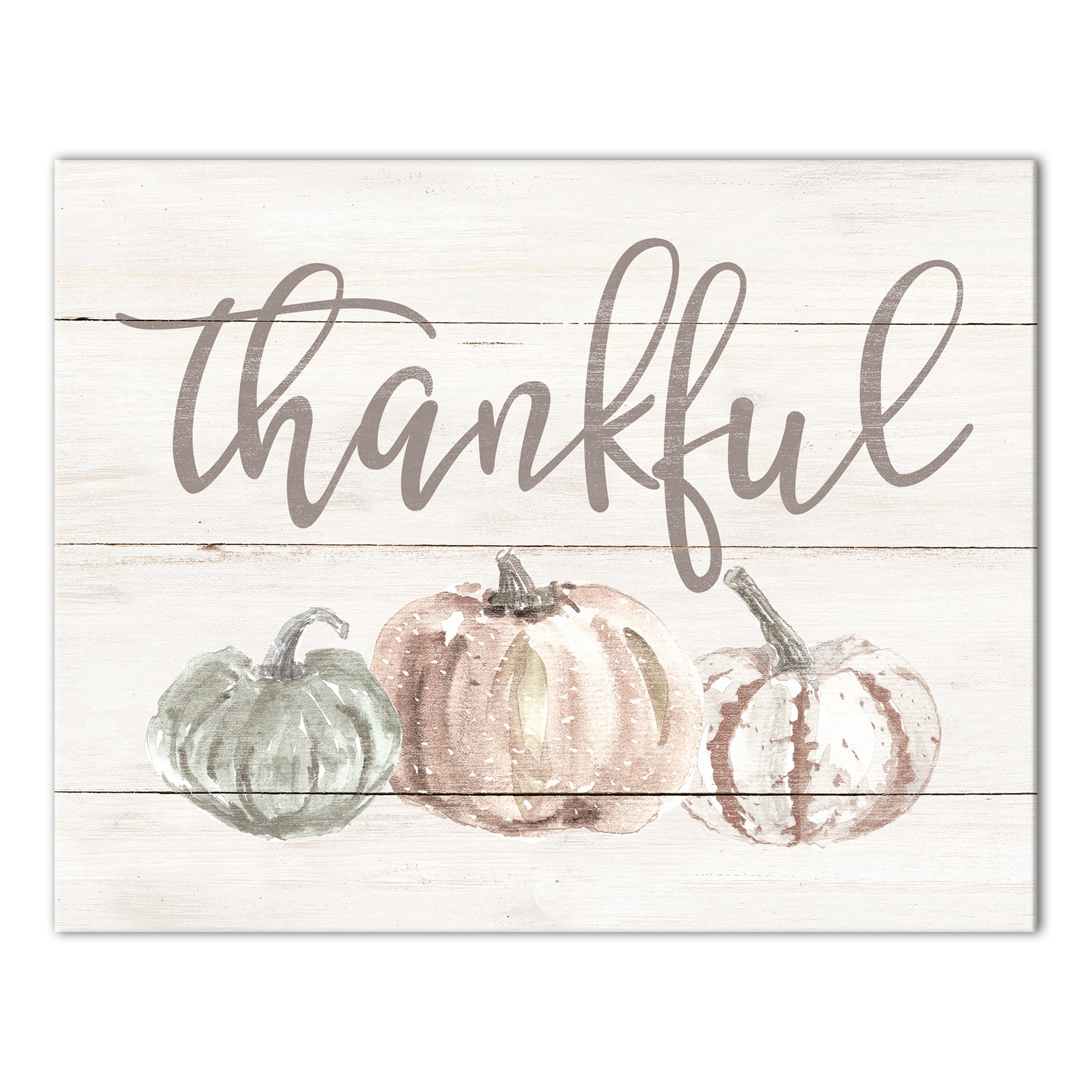 Thankful White Pumpkins 14x11 Canvas Wall Art