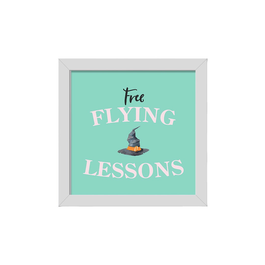 Flying Lesson 16x16 White Framed Print Under Glass