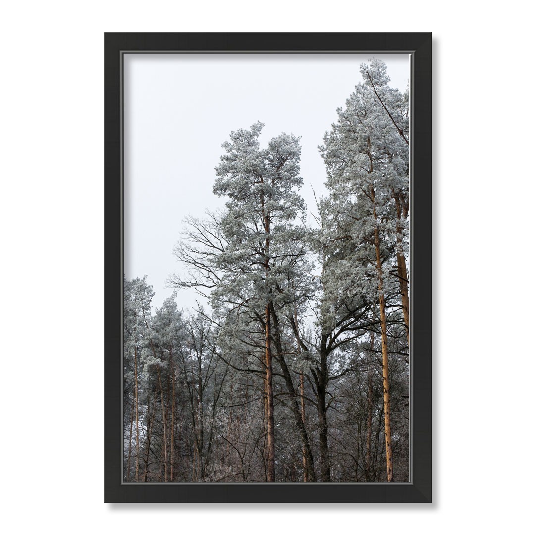 Dusty Trees 20x30 Black Framed Print Under Glass