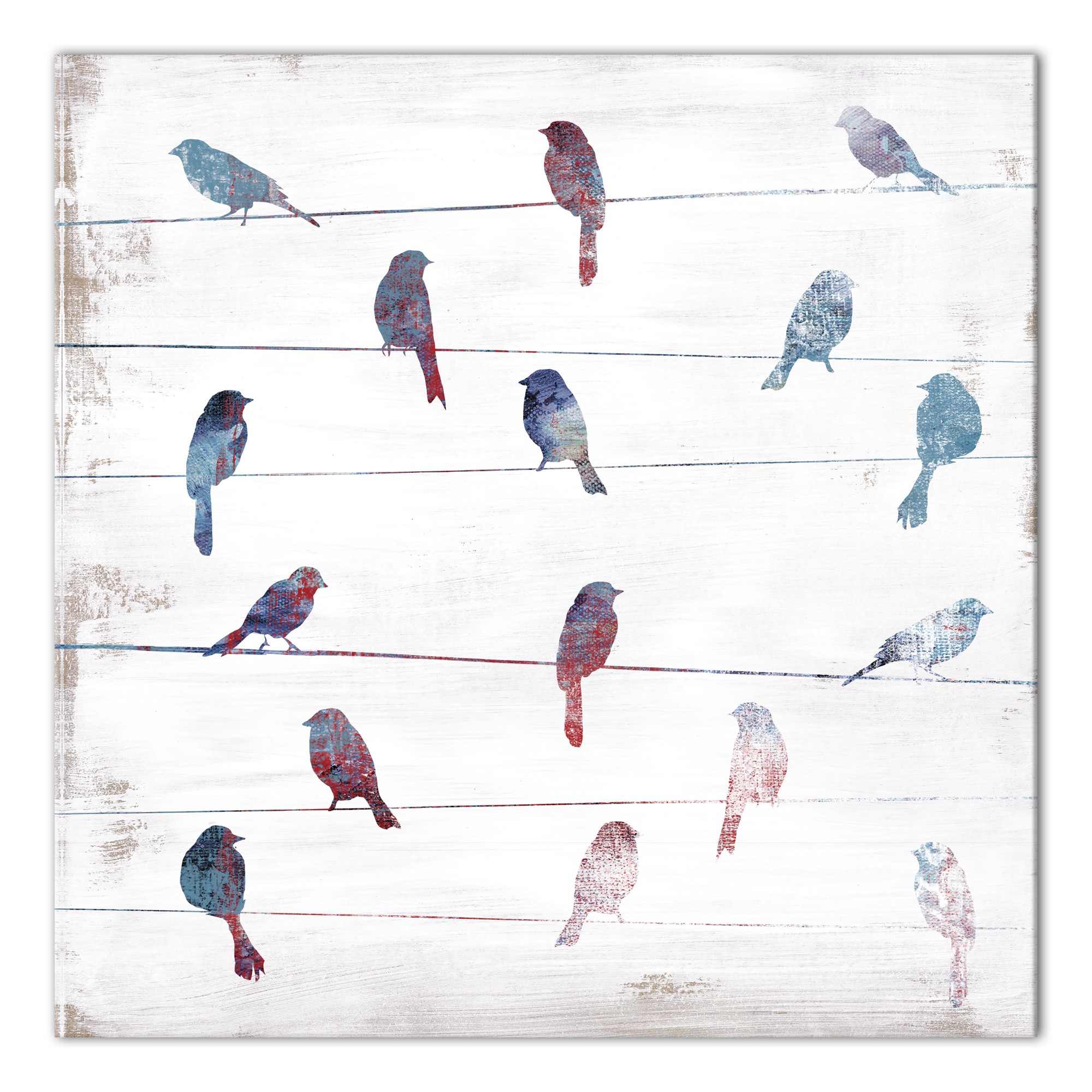 Patriotic Birds 24x24 Canvas Wall Art