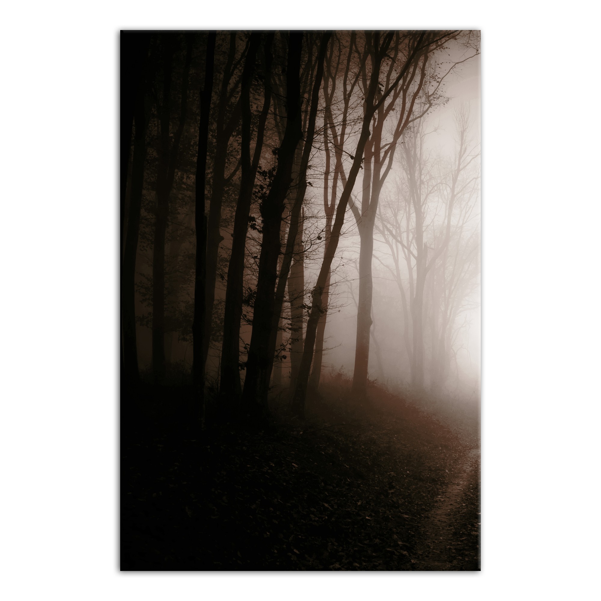 Creepy Forrest Left 20x30 Canvas Wall Art