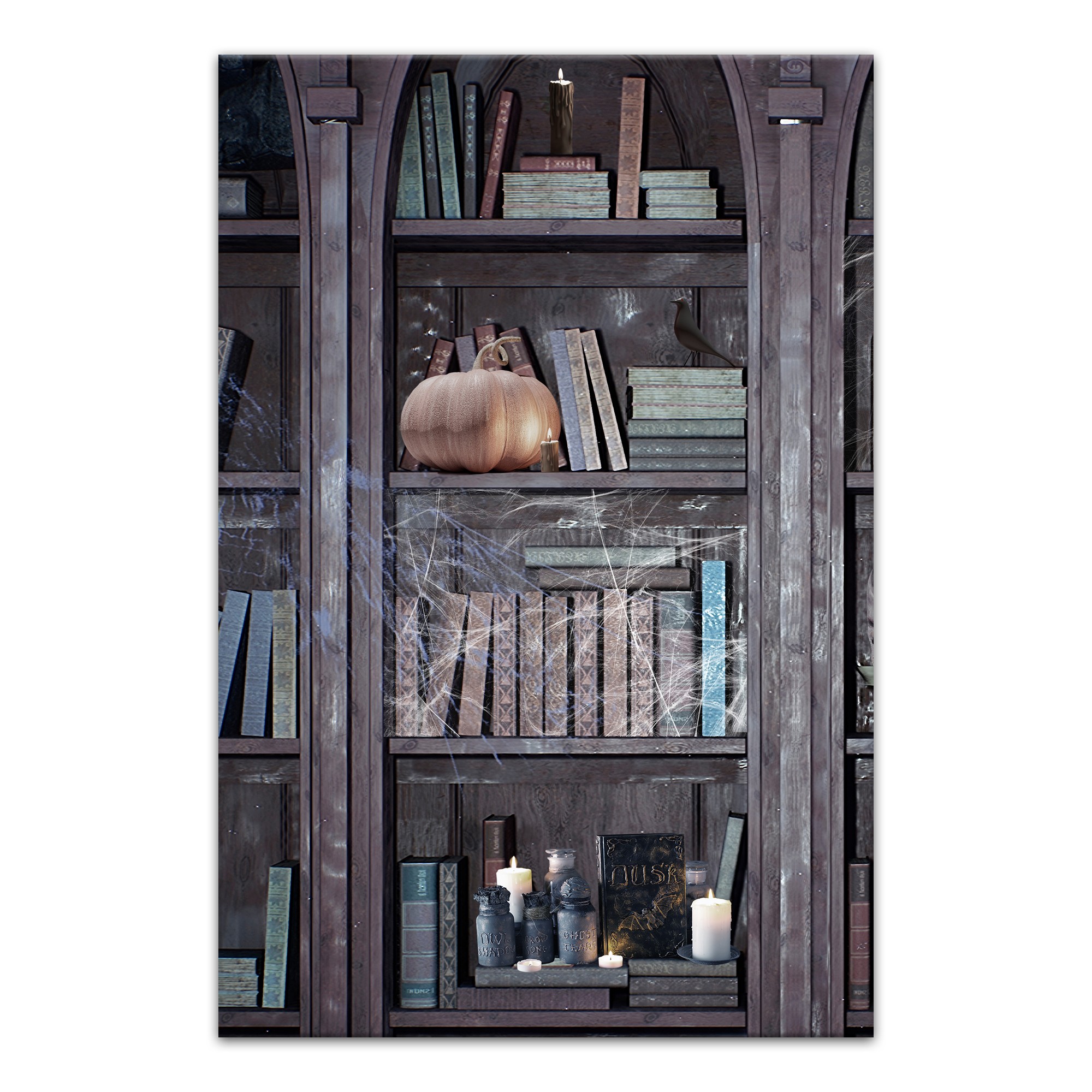Haunted Library Compilation Left 20x30 Canvas Wall Art