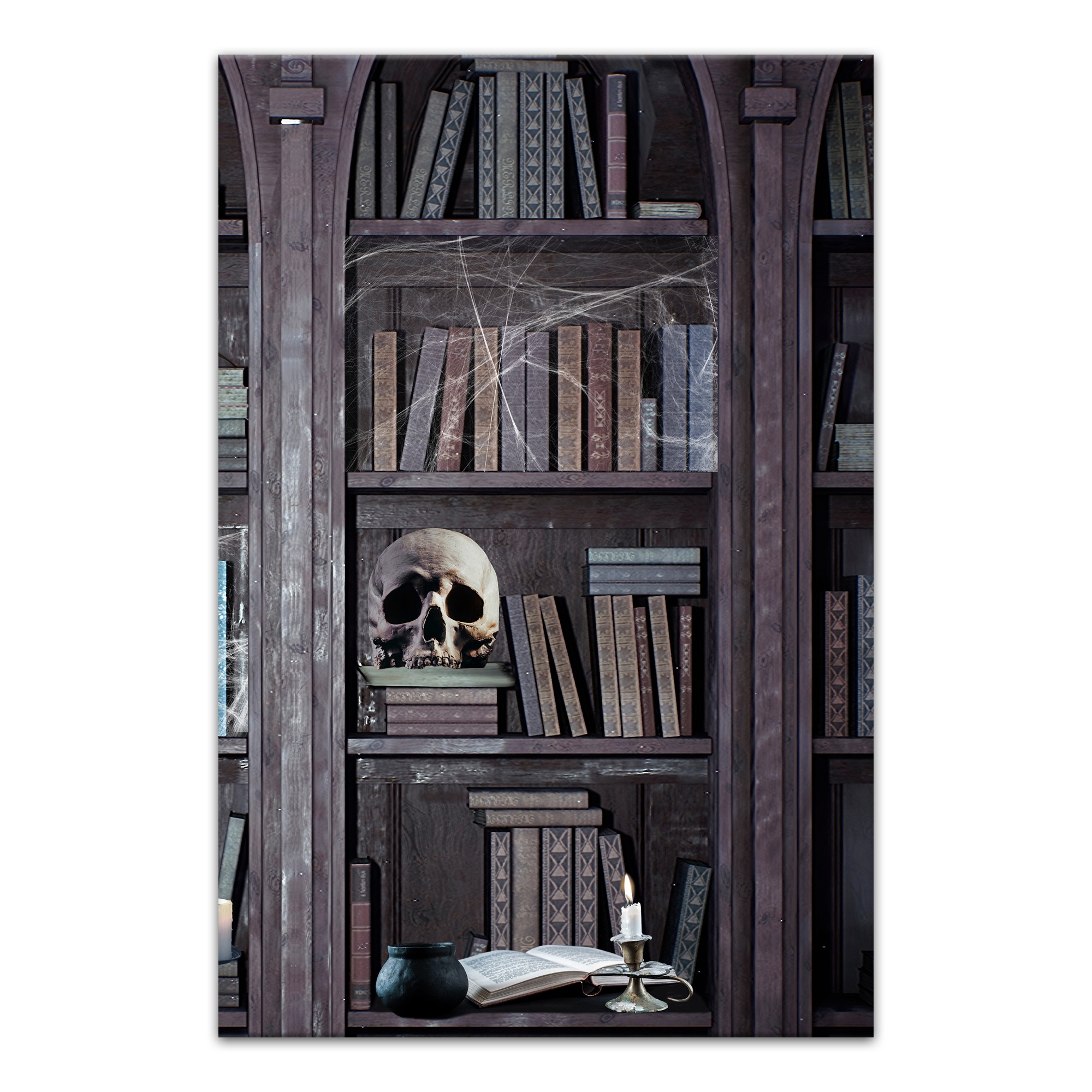 Haunted Library Compilation Right 20x30 Canvas Wall Art