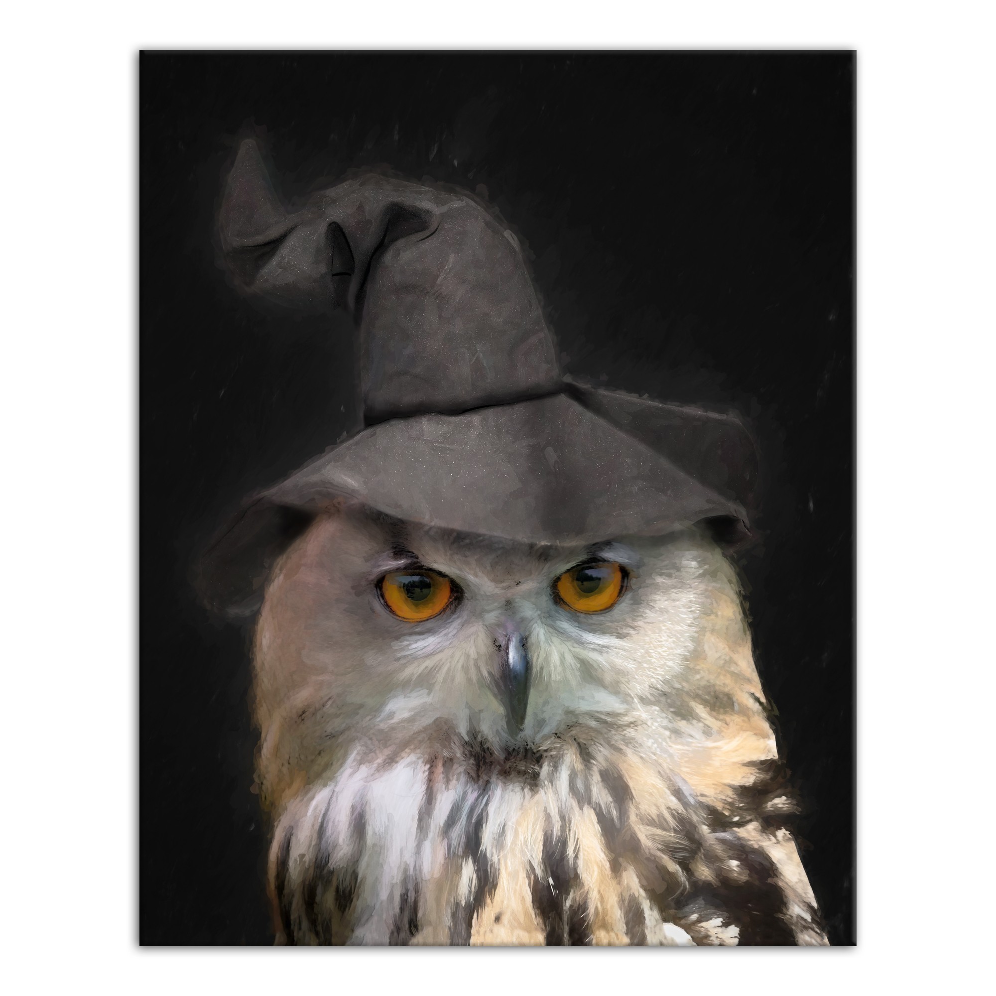 Owl With Witch Hat 2 24x30 Canvas Wall Art