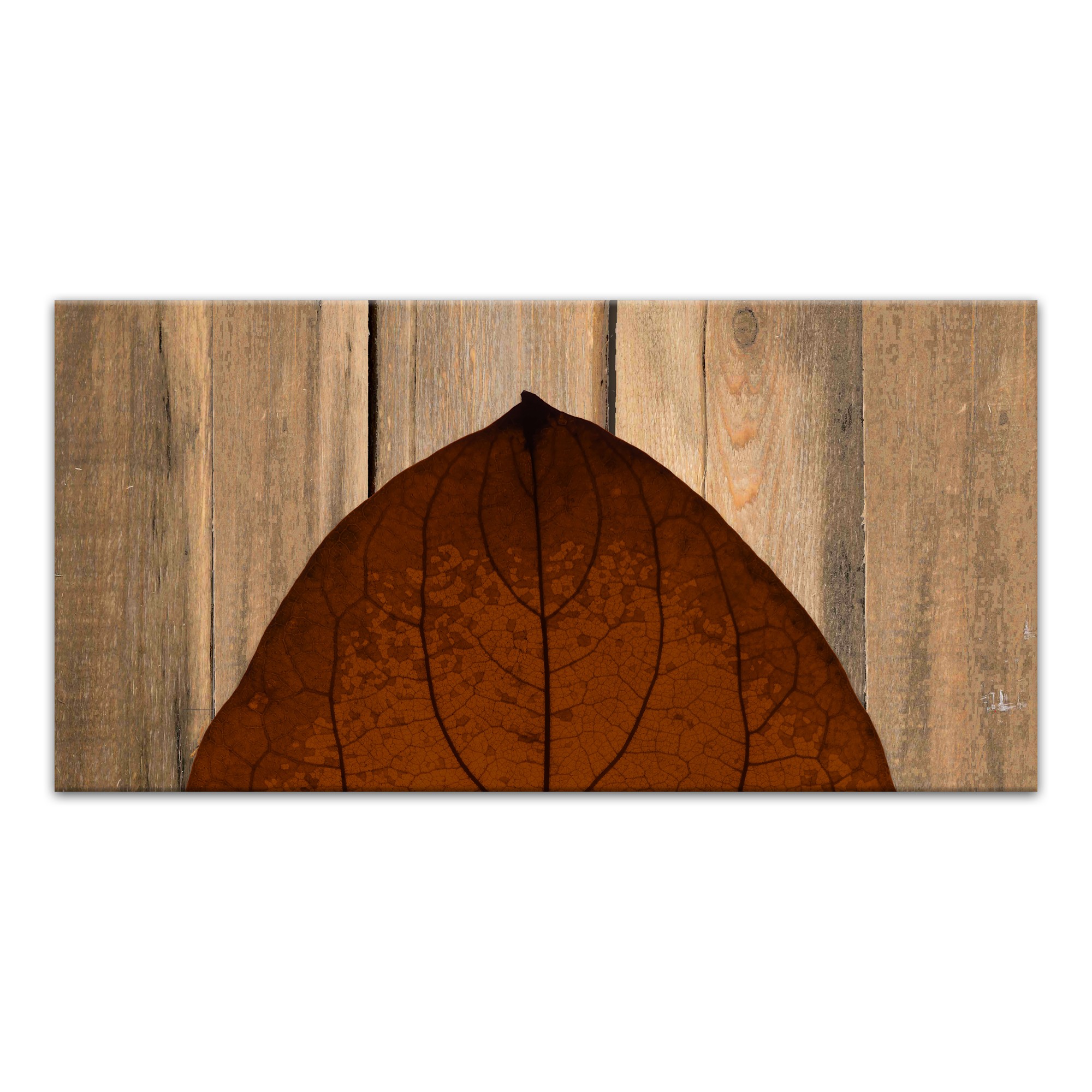 Split Leaf On Wood Top 10x20 Canvas Wall Art