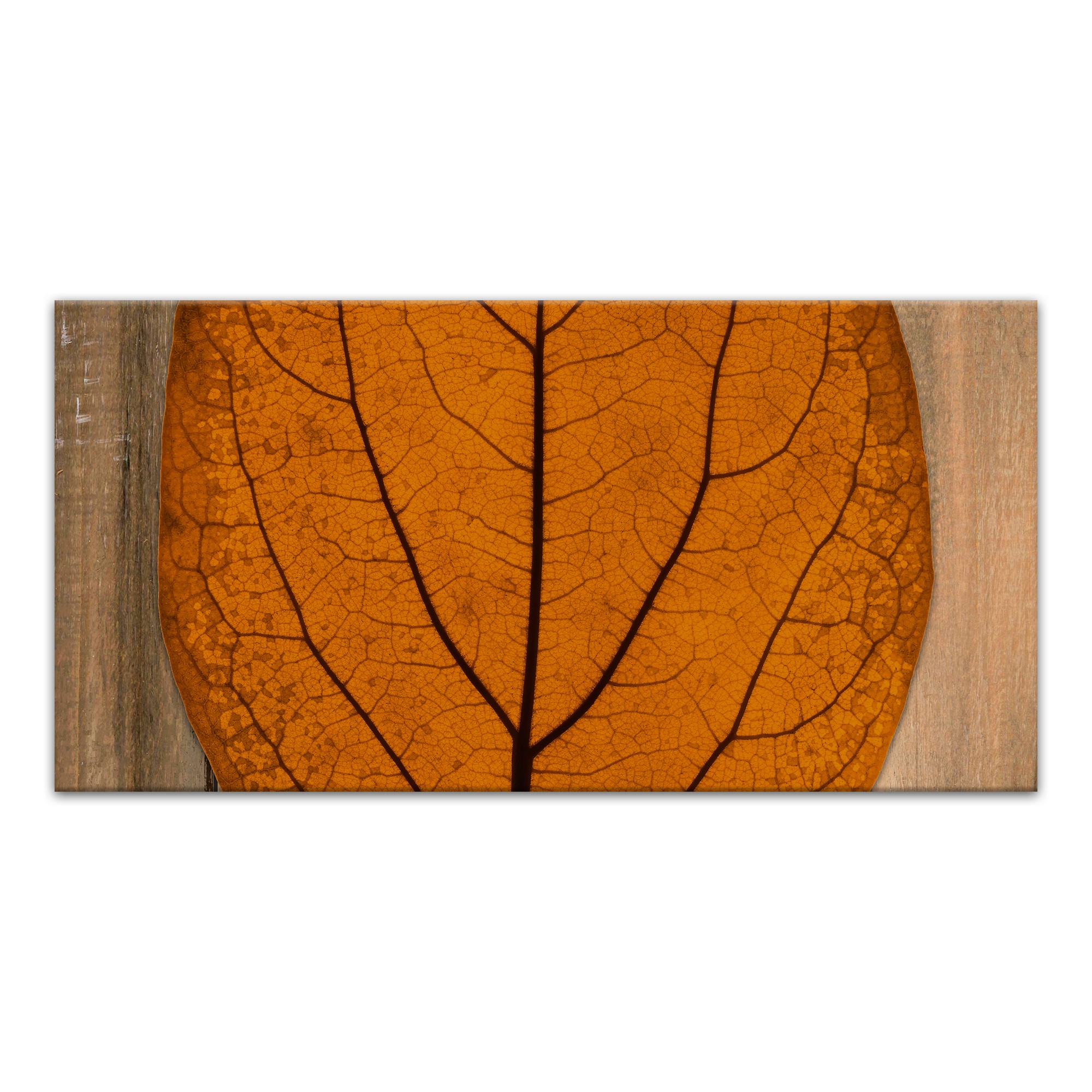 Split Leaf On Wood Middle 10x20 Canvas Wall Art