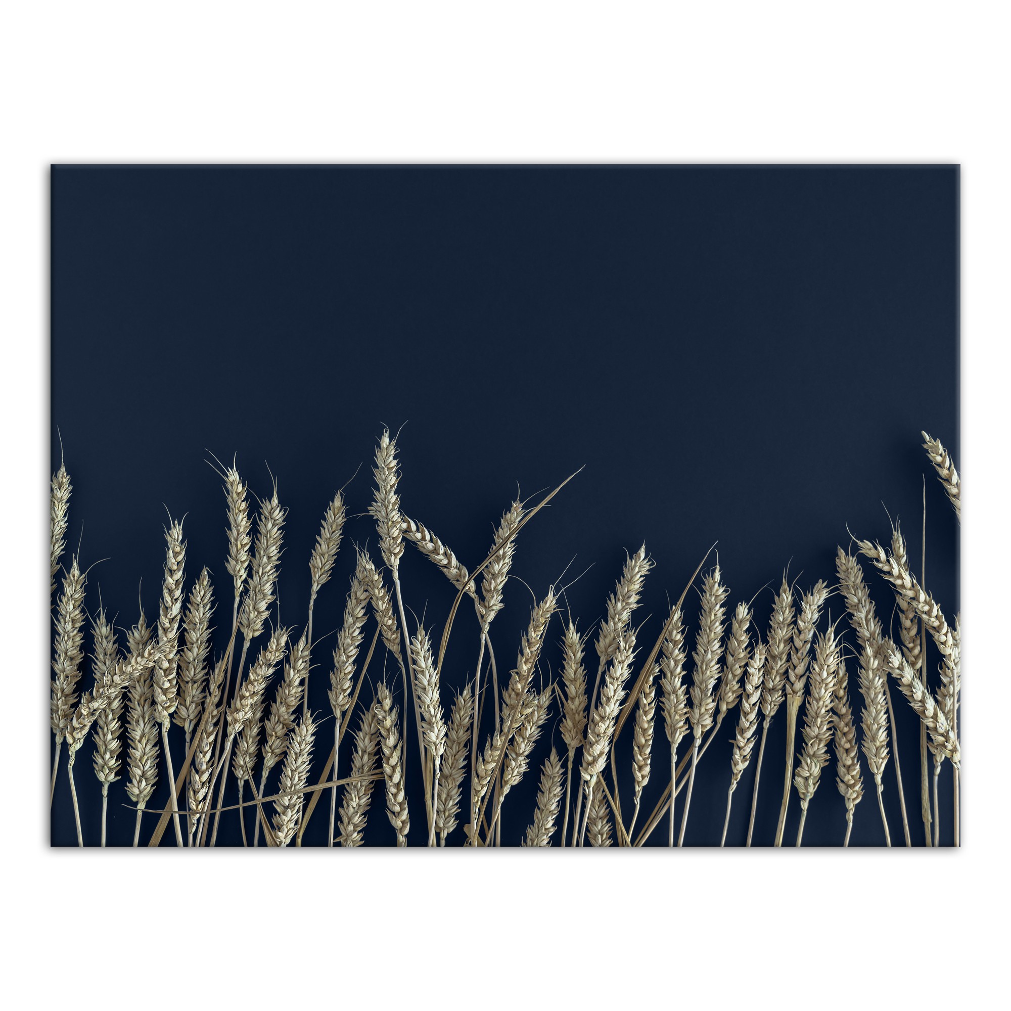 Wheat On Blue 30x40 Canvas Wall Art