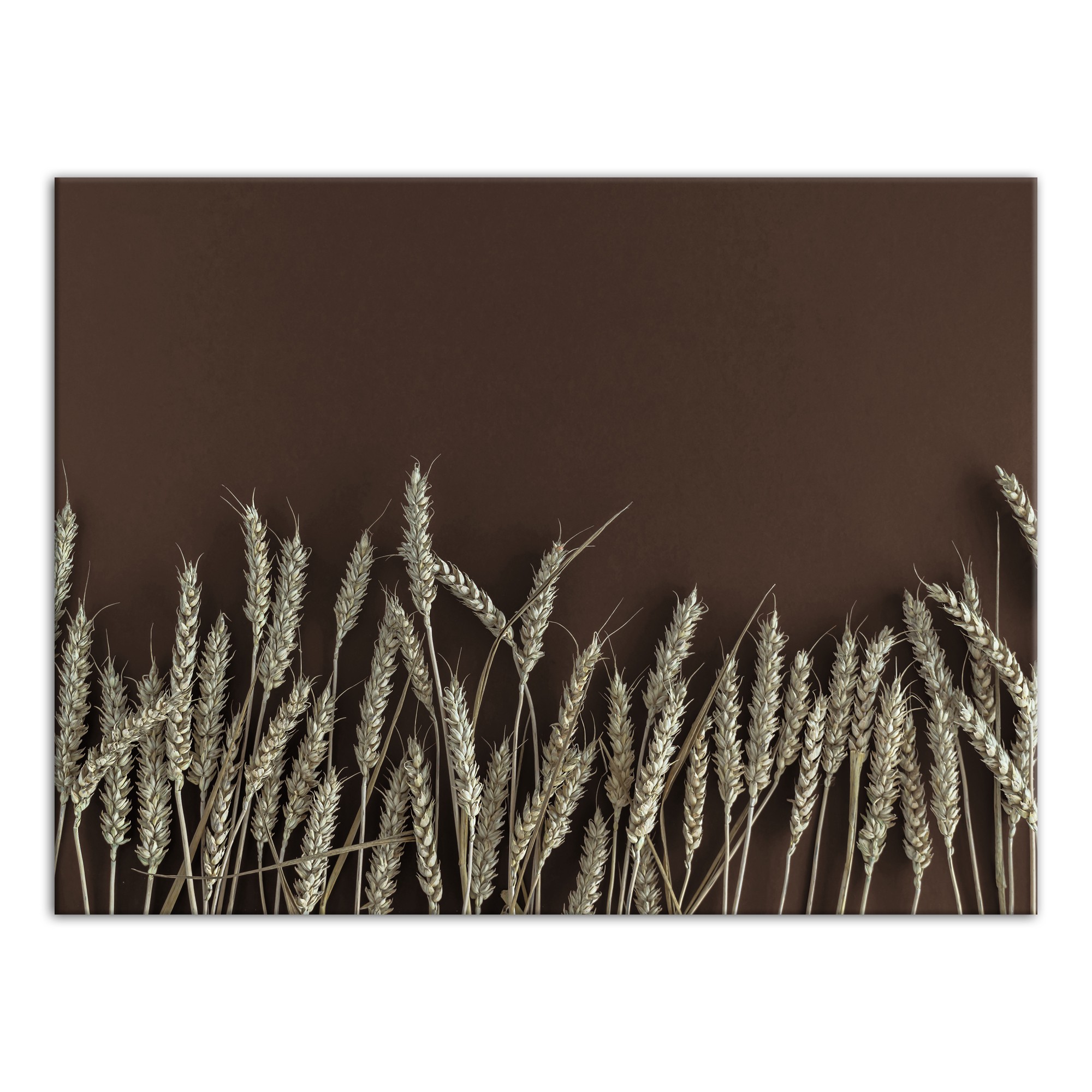 Wheat On Brown 30x40 Canvas Wall Art