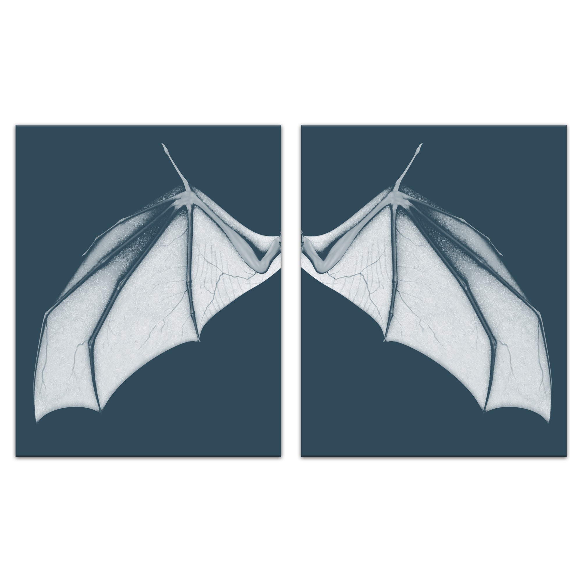 Bat Wing Blue Set 20x30 Canvas Wall Art