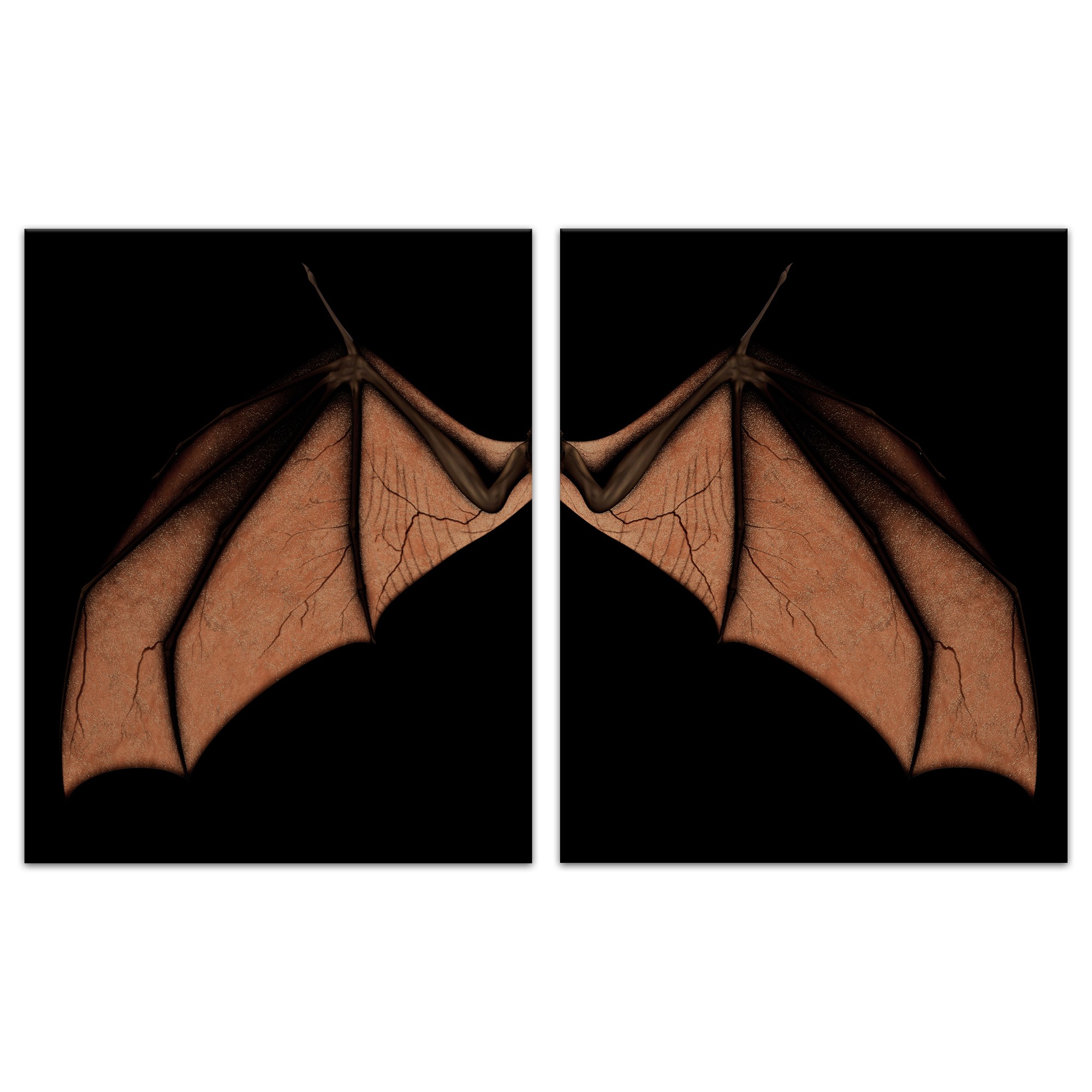 Bat Wing Set 20x30 Canvas Wall Art