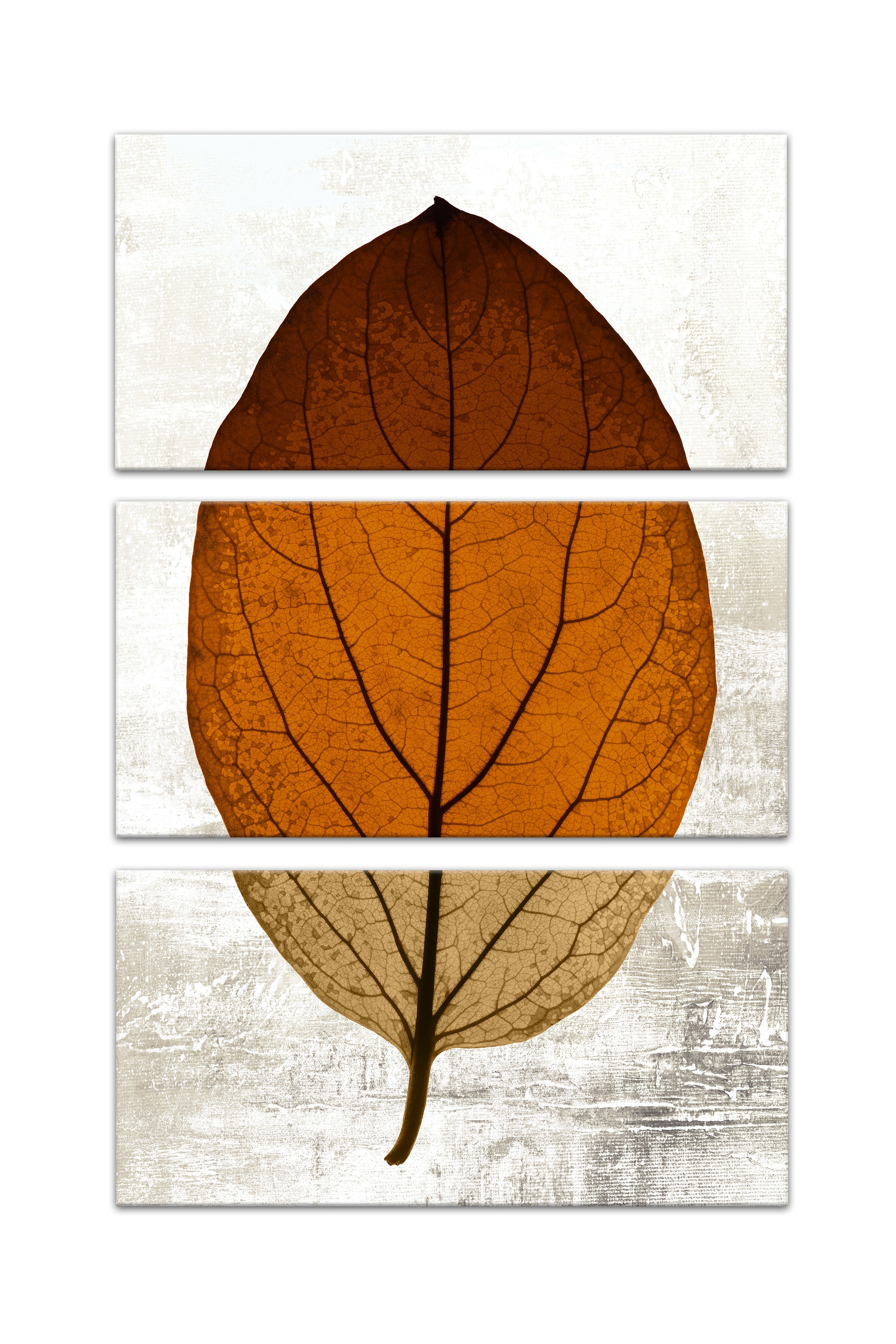 Split Fall Leaf Set 10x20 Canvas Wall Art