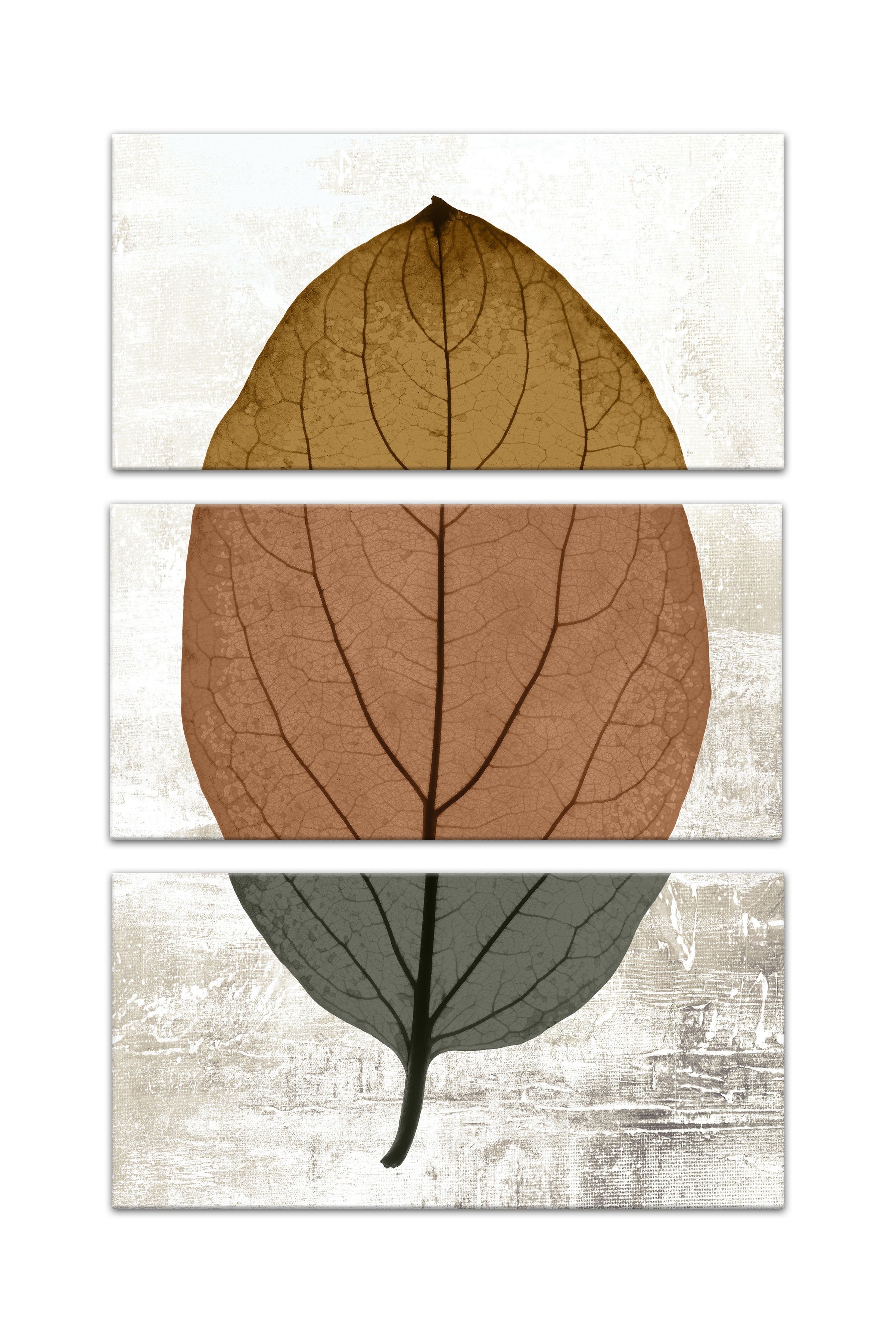 Split Fall Leaf Distressed Set 10x20 Canvas Wall Art