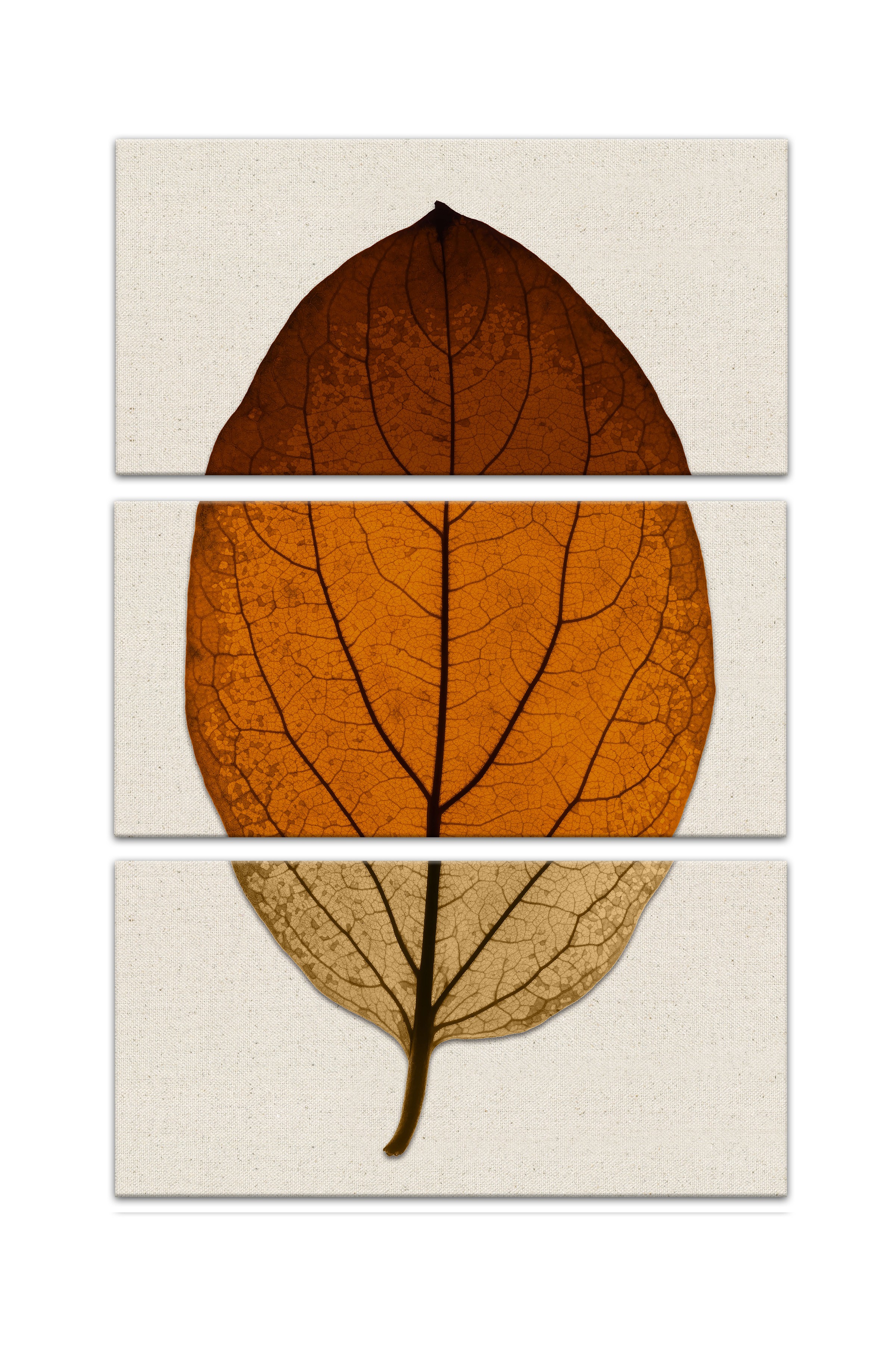 Split Fall Leaf On Linen Set 10x20 Canvas Wall Art