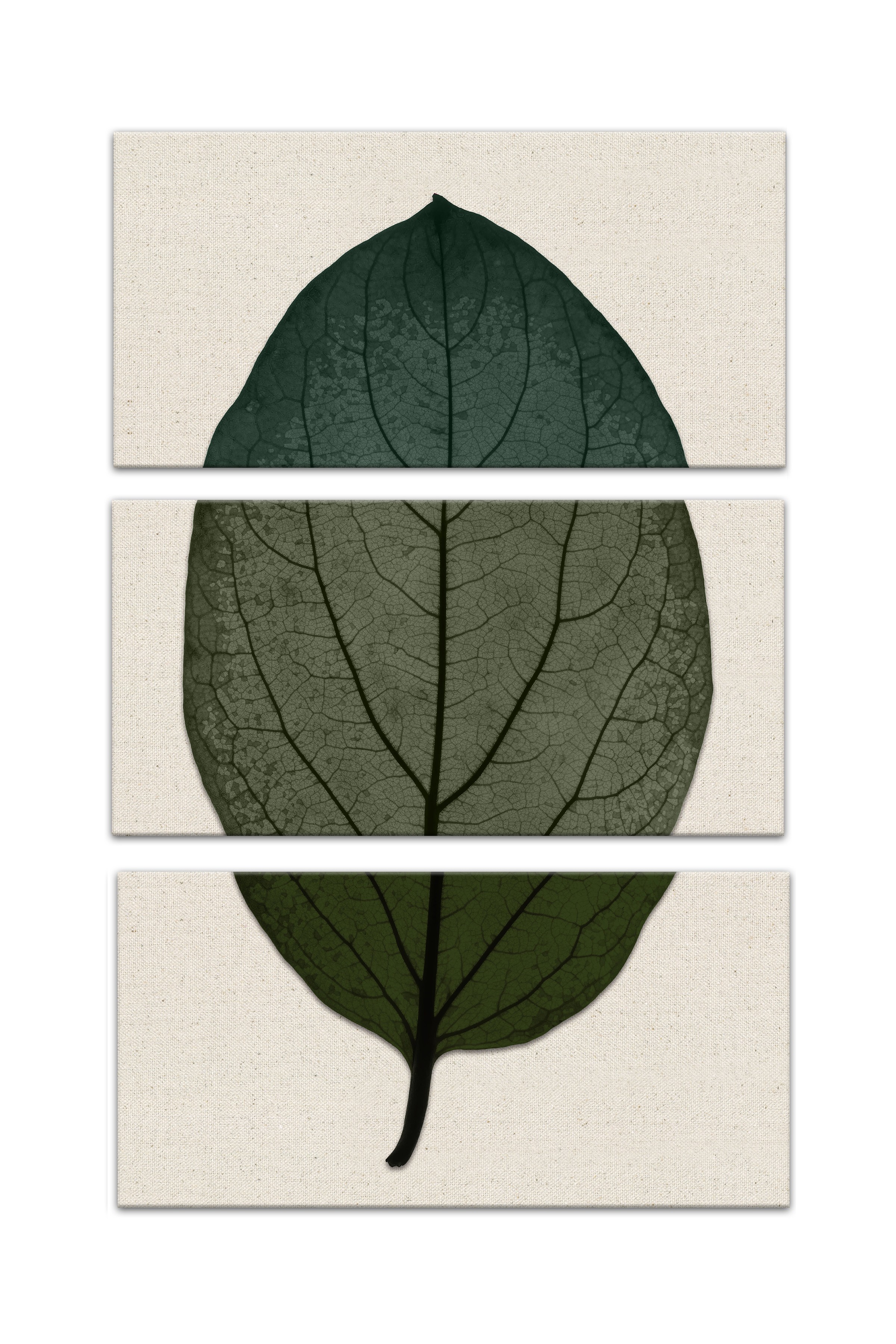 Split Fall Leaf On Linen Set 2 10x20 Canvas Wall Art