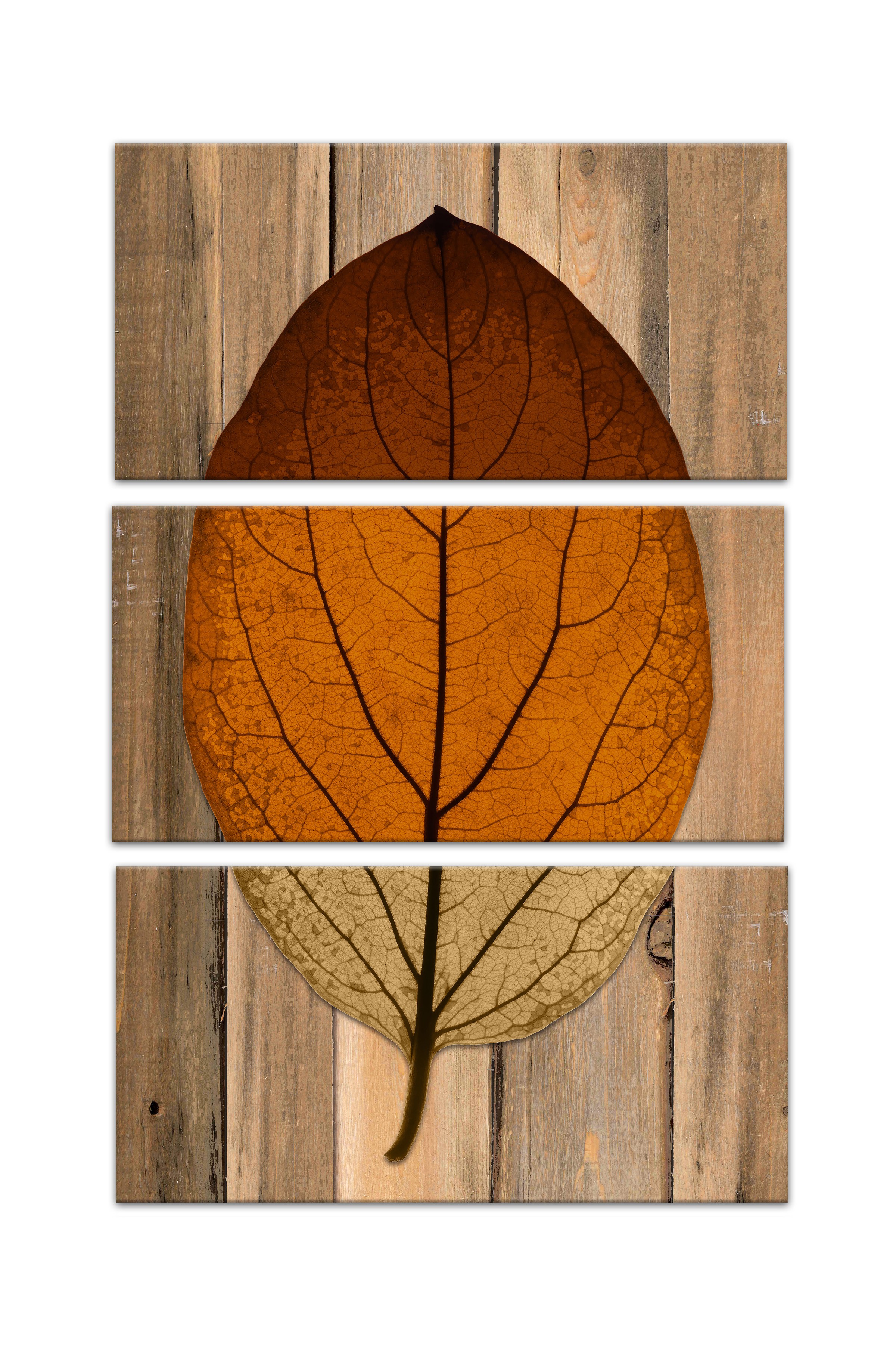Split Leaf On Wood Set 10x20 Canvas Wall Art
