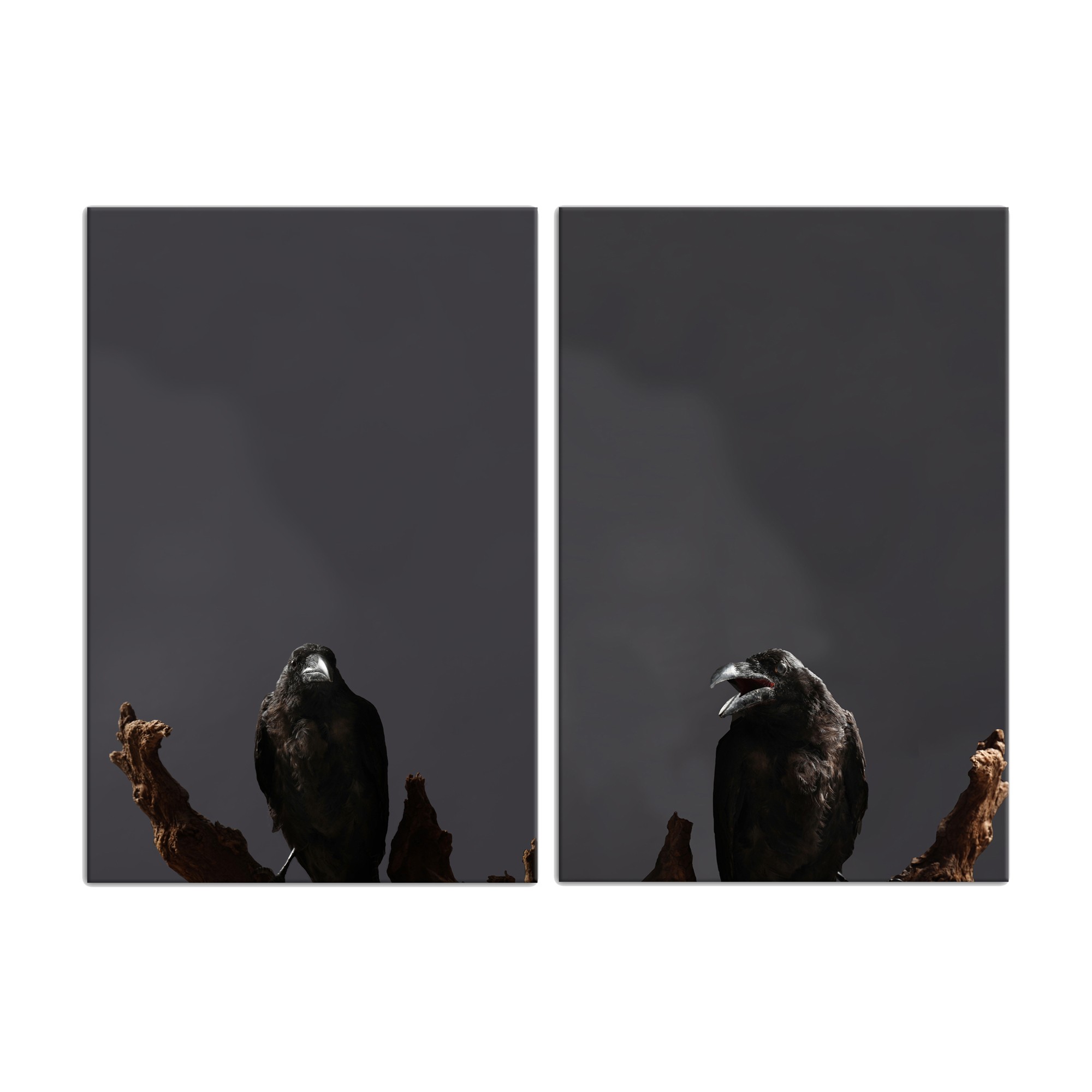 Creepy Crow Branch Set 24x36 Canvas Wall Art