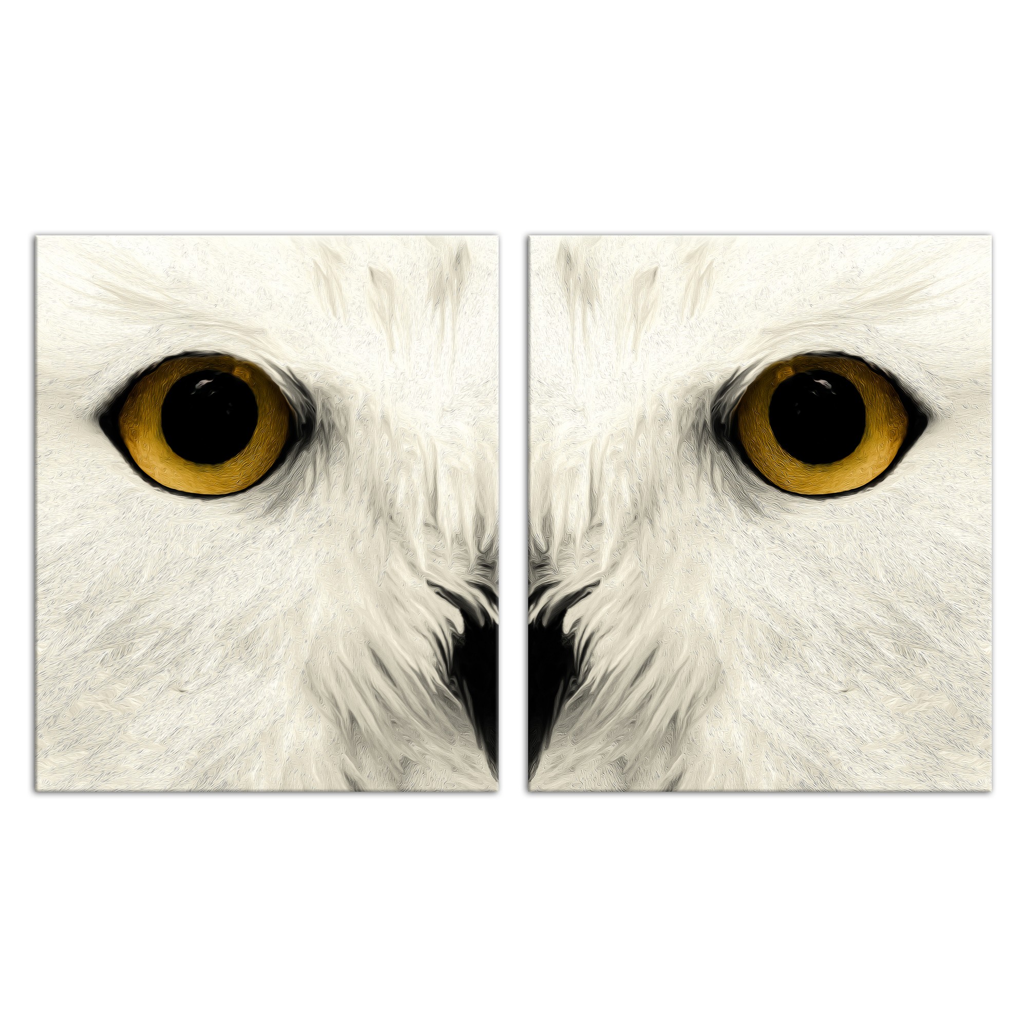 Muted Owl Face Set 20x24 Canvas Wall Art