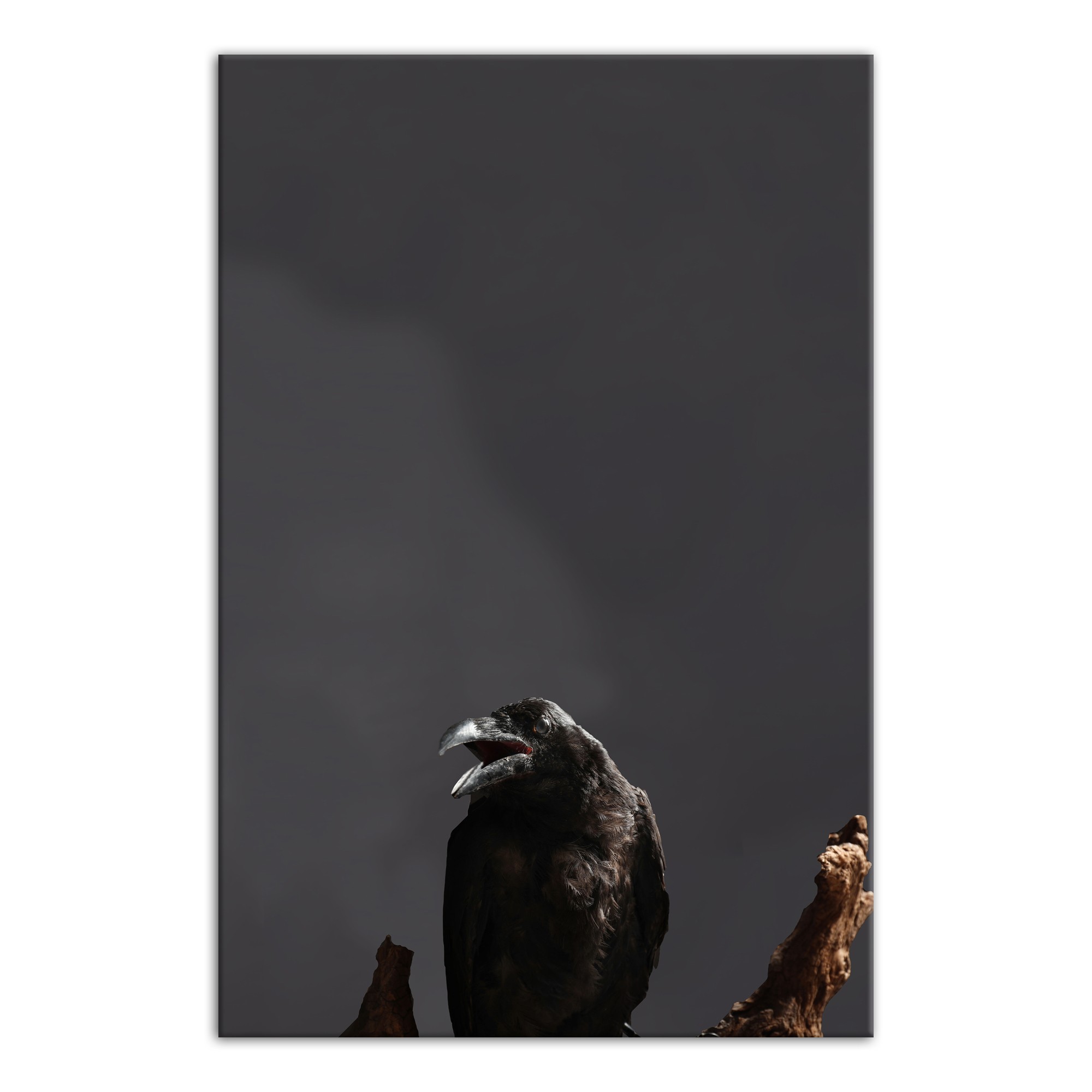 Creepy Crow Branch Right 24x36 Canvas Wall Art
