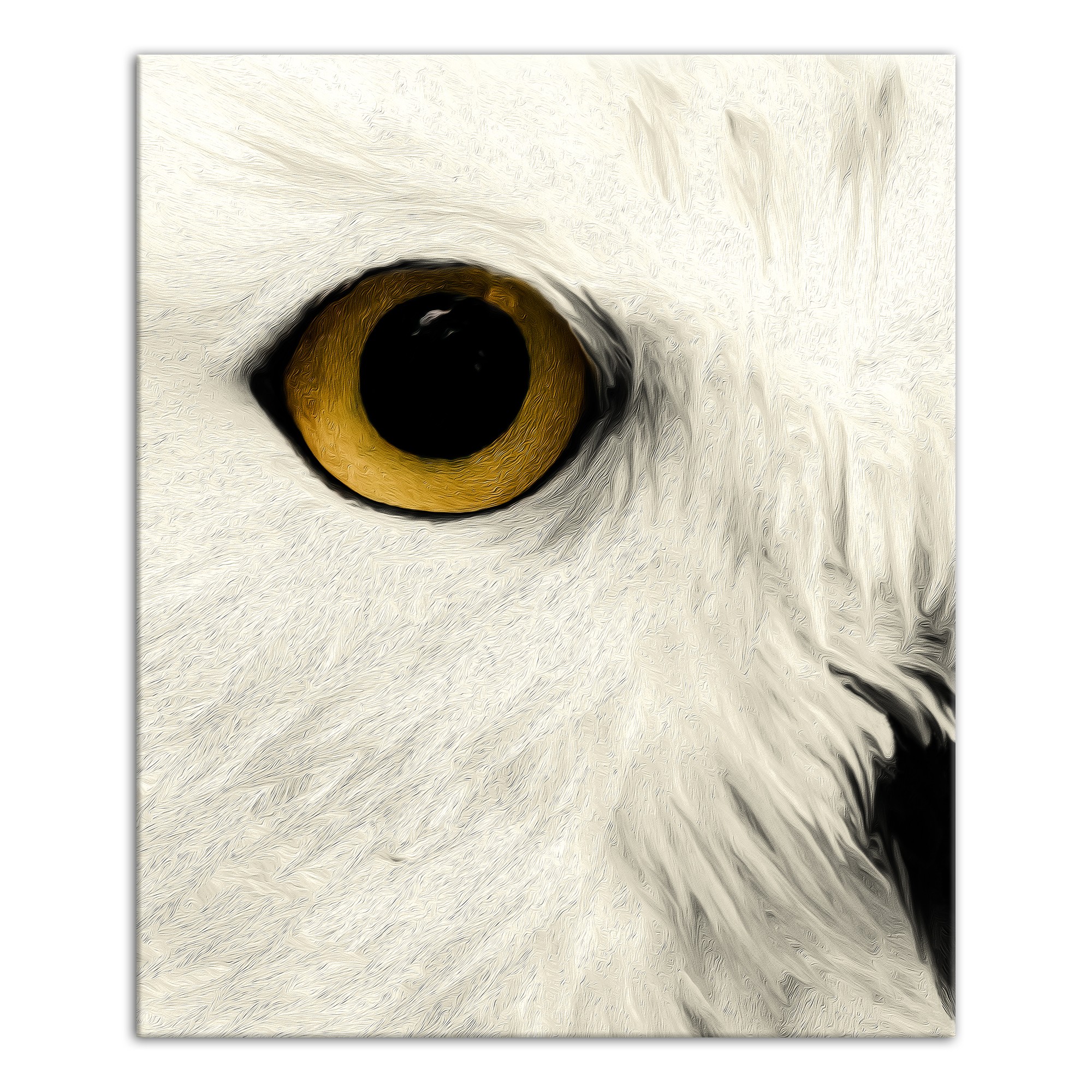 Muted Owl Face Left 20x24 Canvas Wall Art