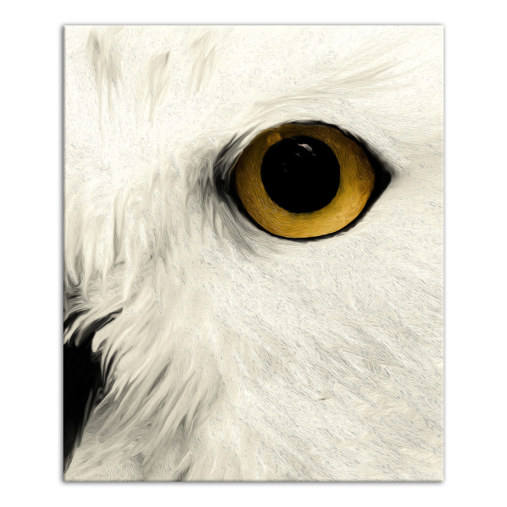 Muted Owl Face Right 20x24 Canvas Wall Art