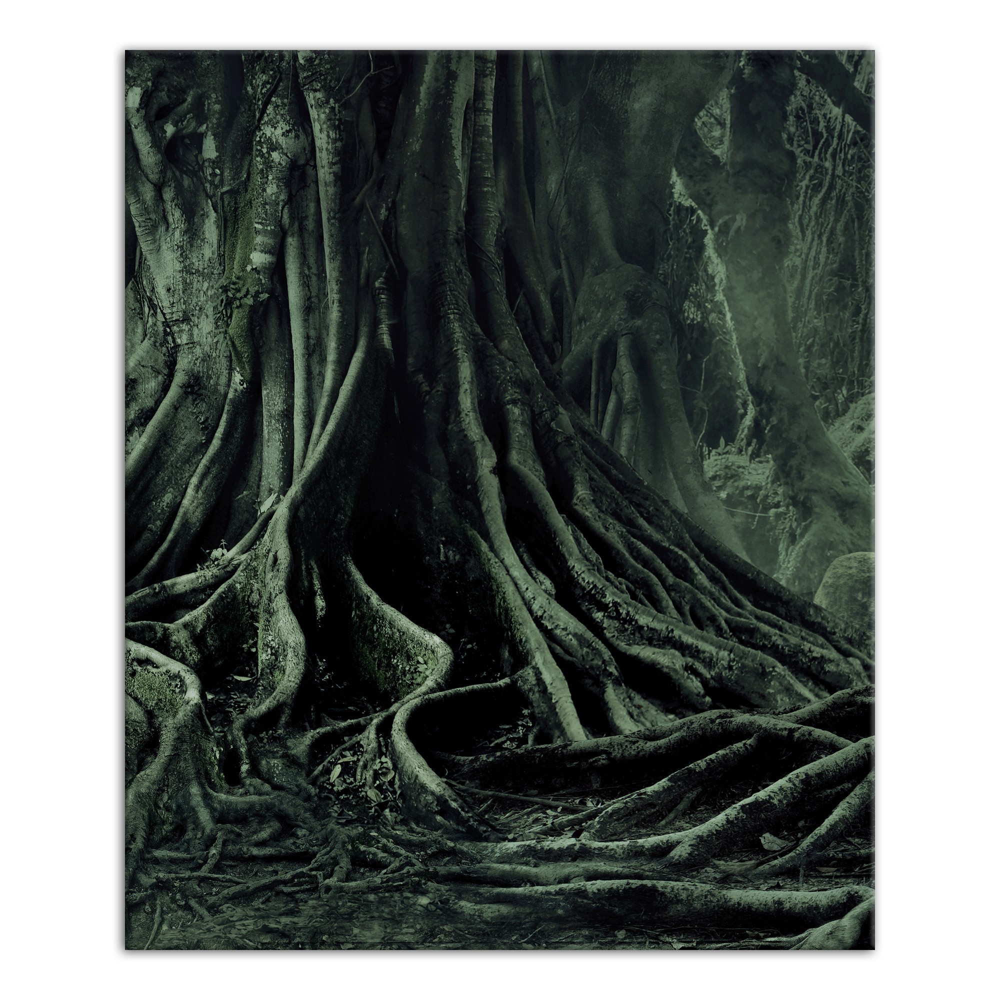 Creepy Trees Left 20x24 Canvas Wall Art