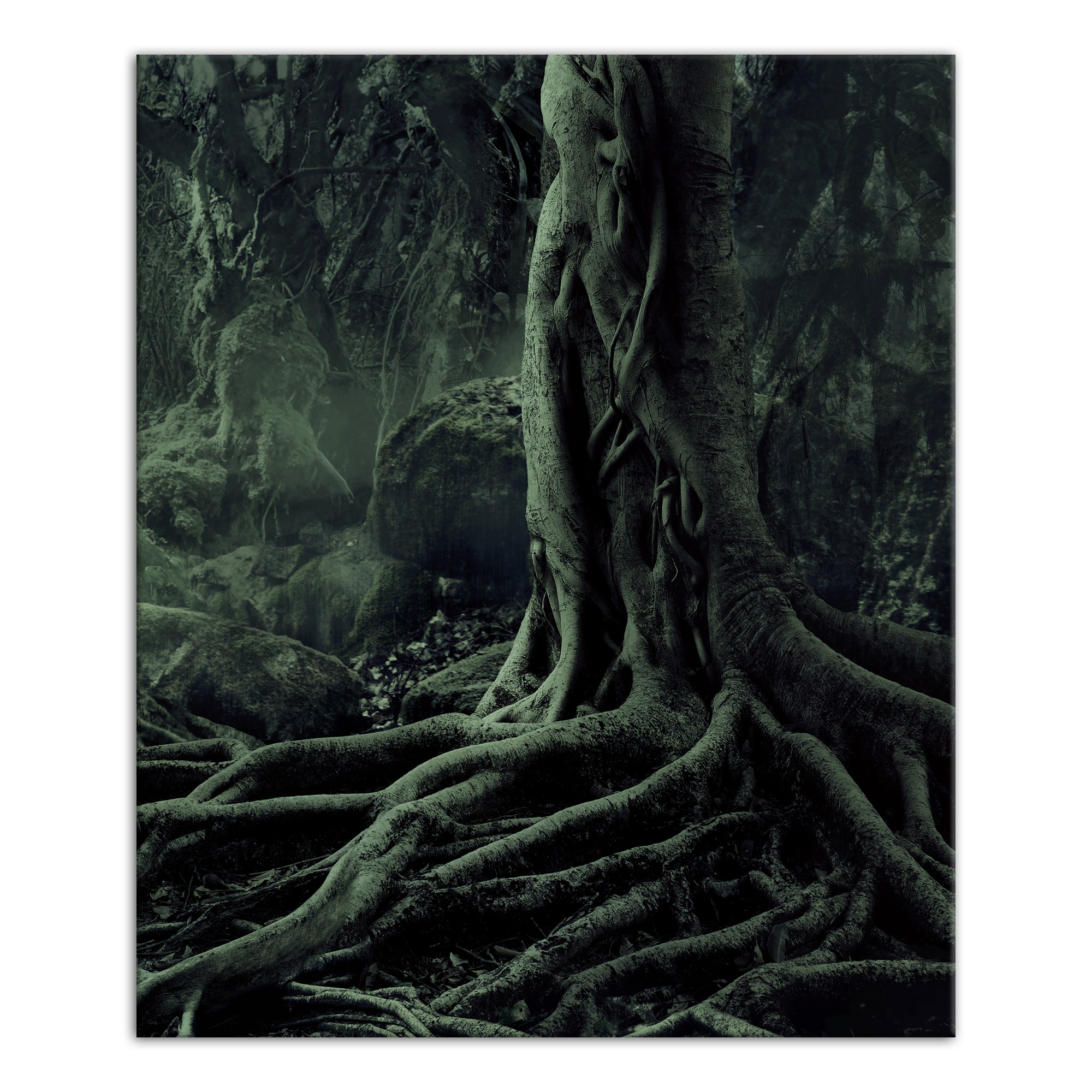 Creepy Trees Right 20x24 Canvas Wall Art