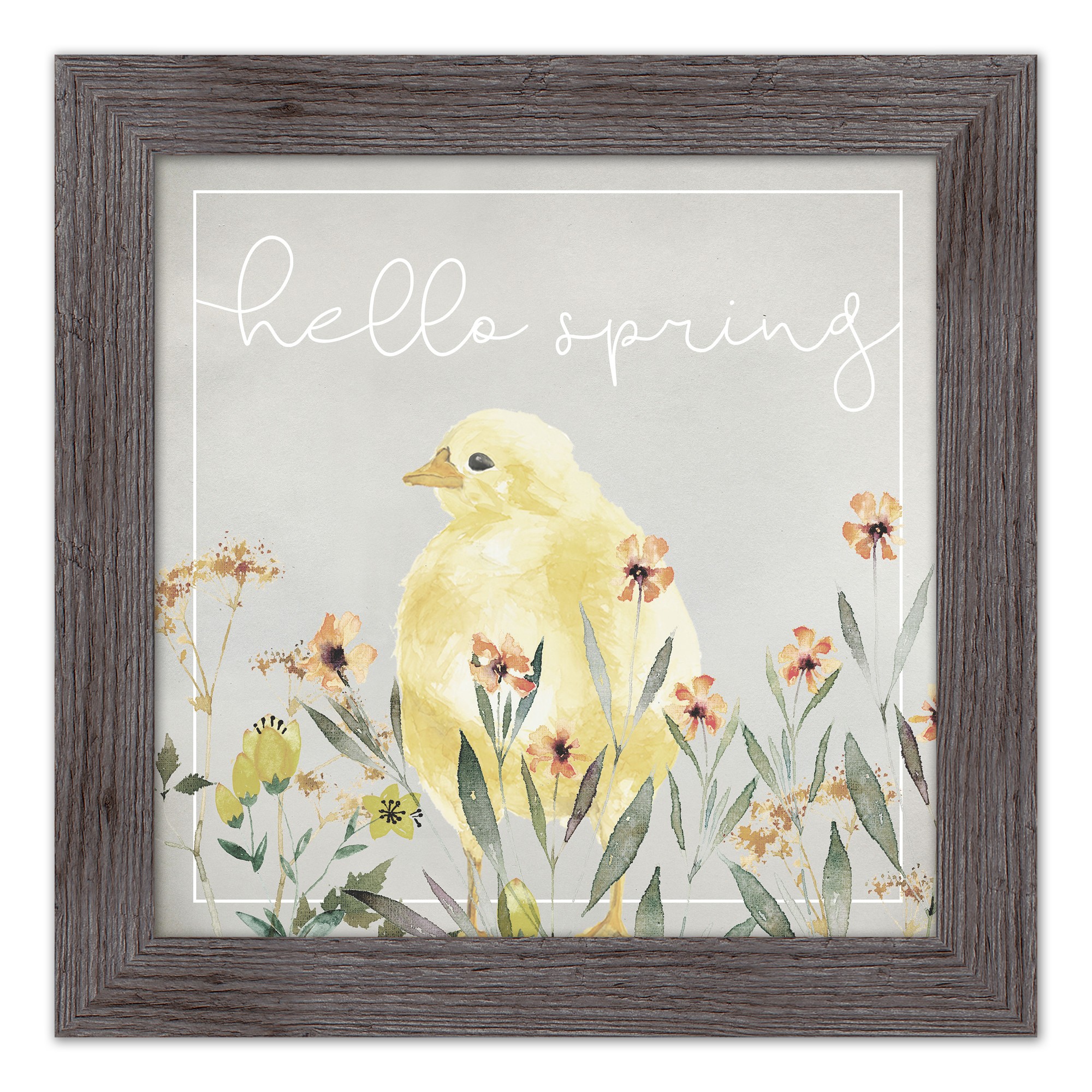 Hello Spring Chick 1 16x16 Western Gray Framed Print