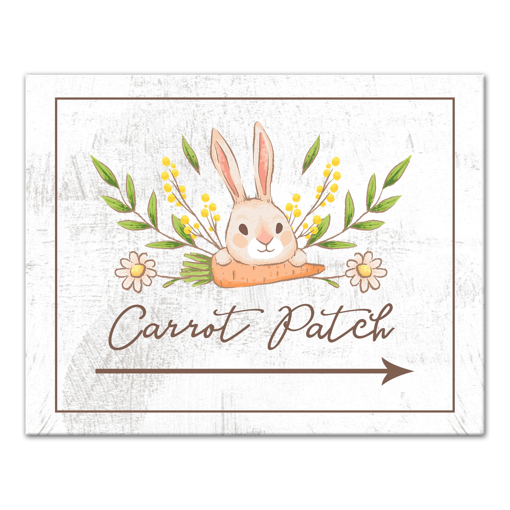 Bunny Carrot Patch 11x14 Canvas Wall Art