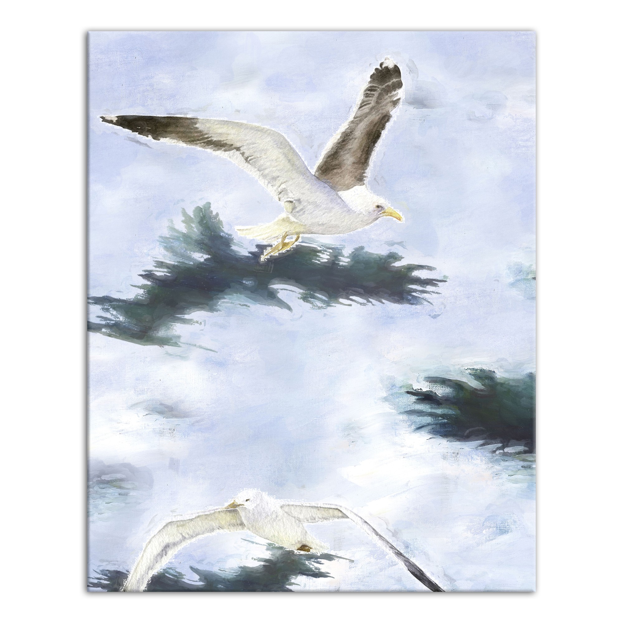 Seagull Art 1 24x30 Canvas Wall Art