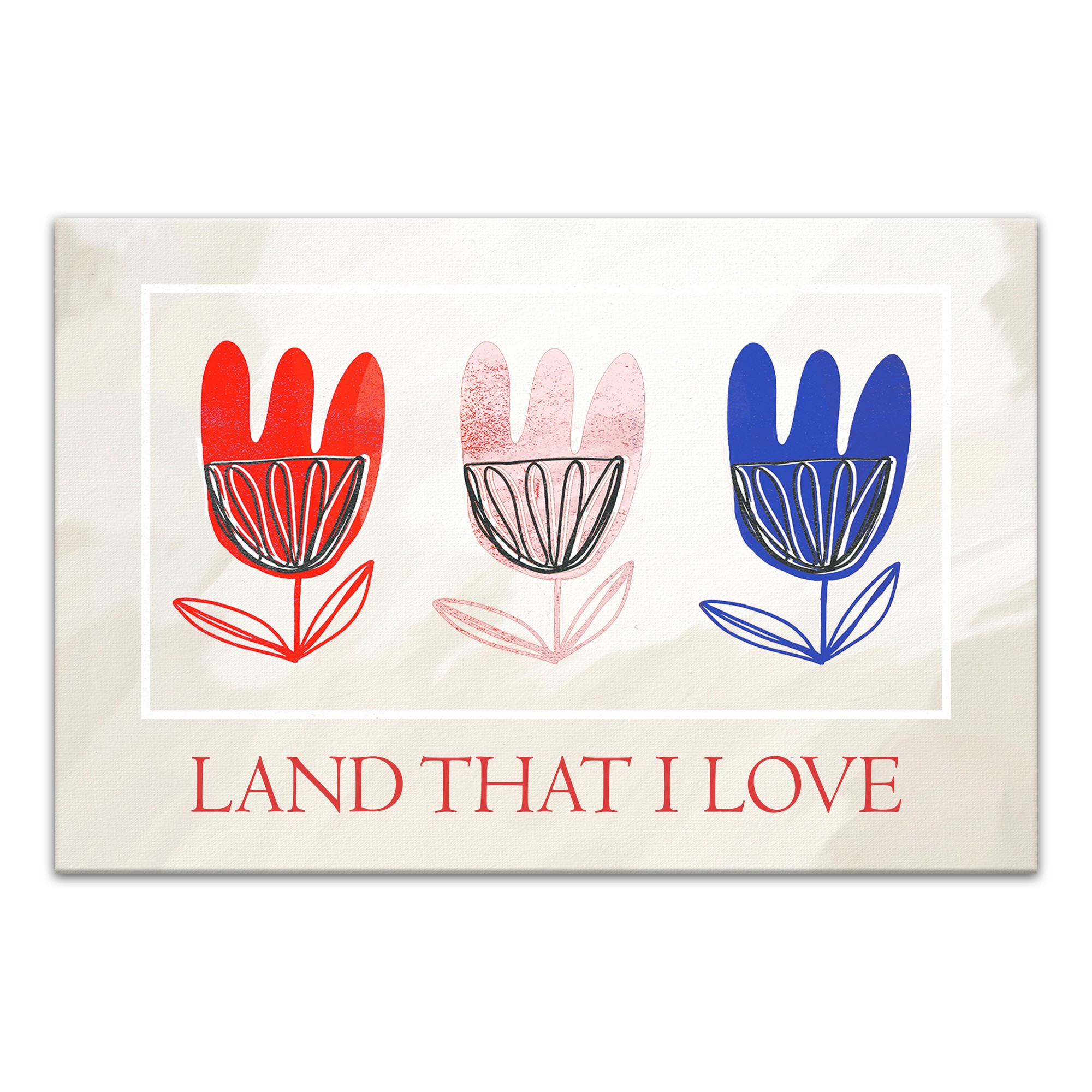 Tulip Land That I Love 11x14 Canvas Wall Art