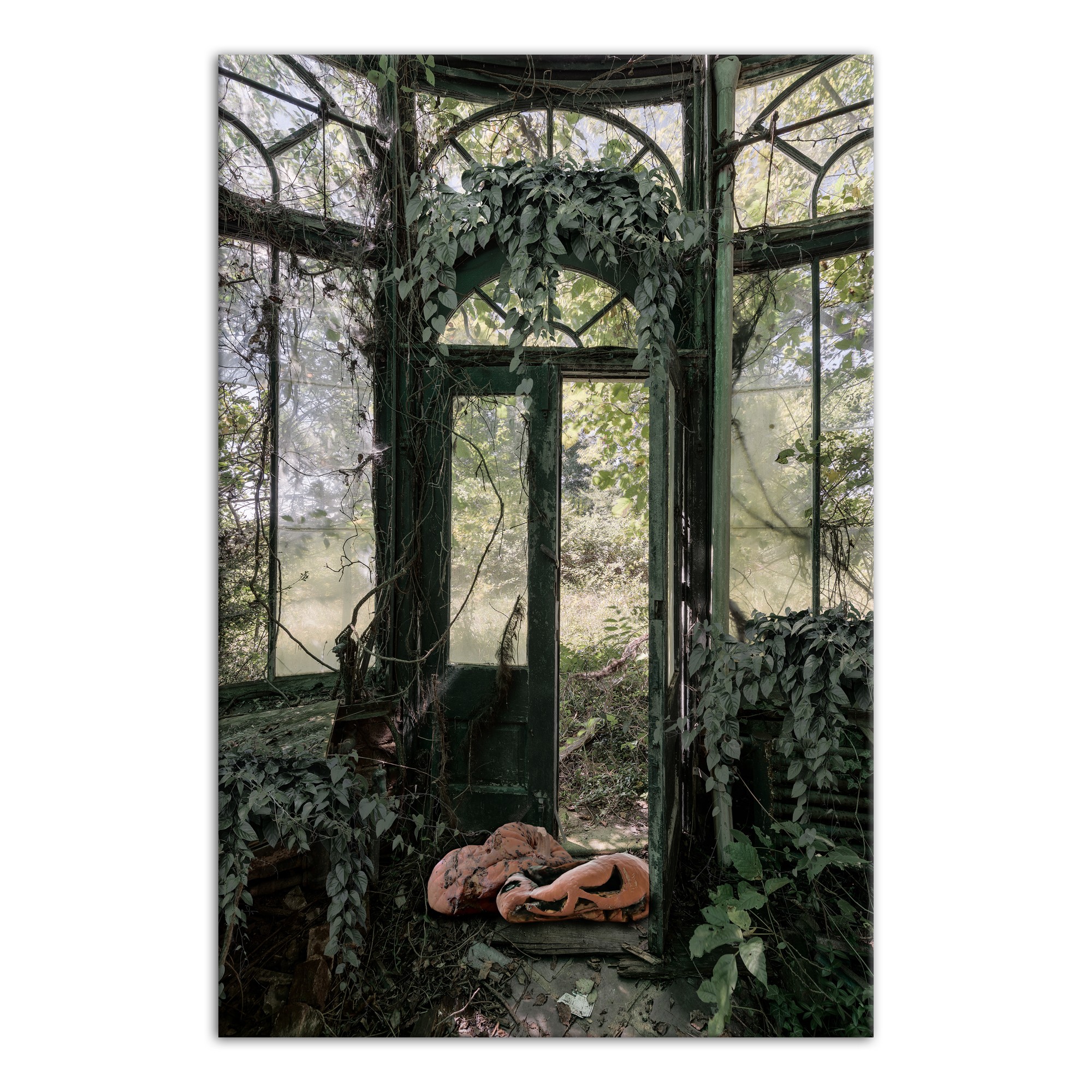 Overgrown Greenhouse 20 x 30 Canvas Wall Art