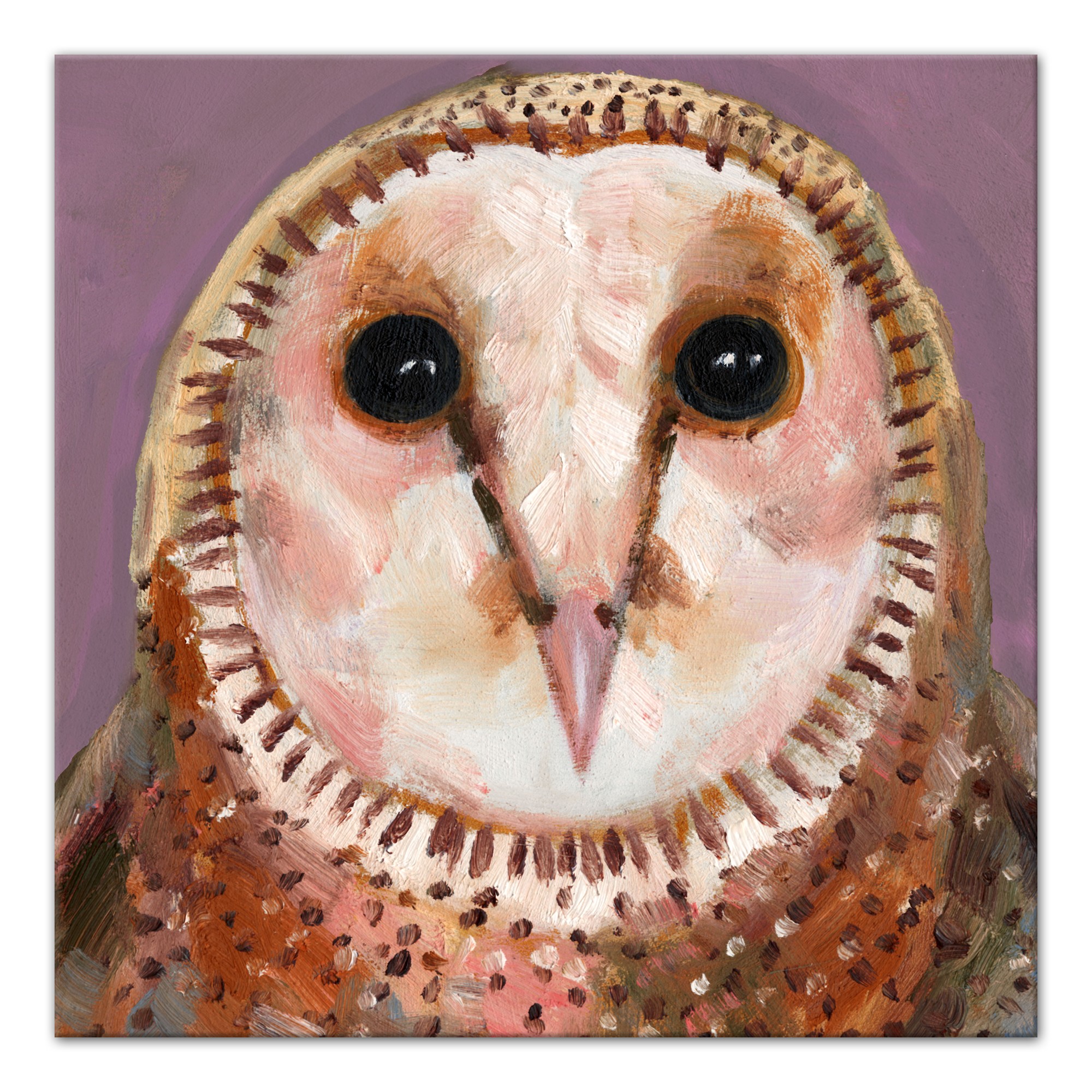 Purple Owl 40 x 40 Canvas Wall Art