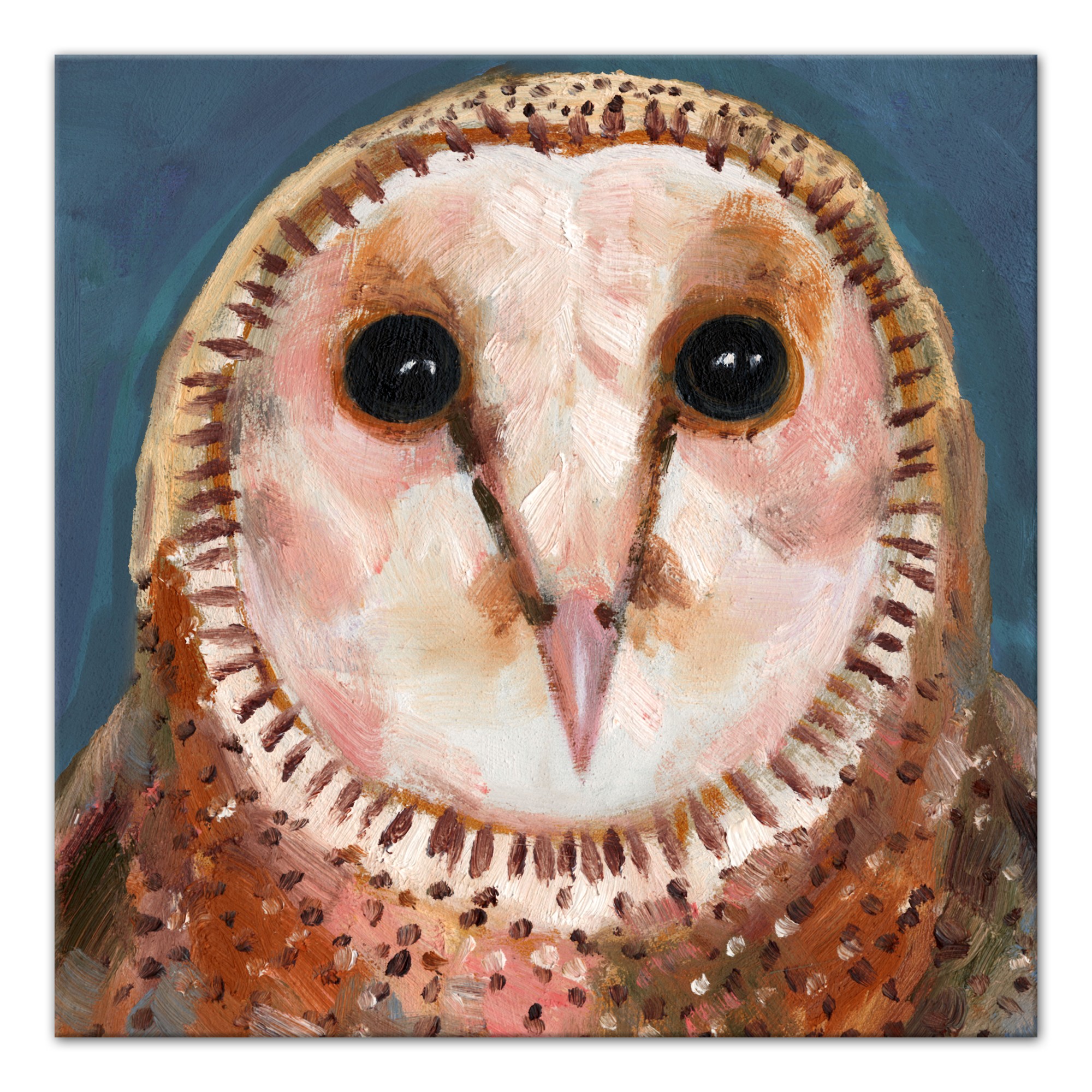 Blue Owl 40 x 40 Canvas Wall Art
