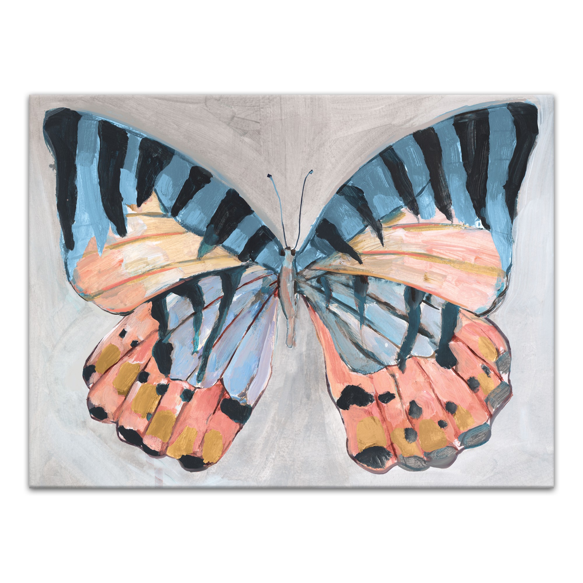 Bright Butterfly 40 x 30 Canvas Wall Art
