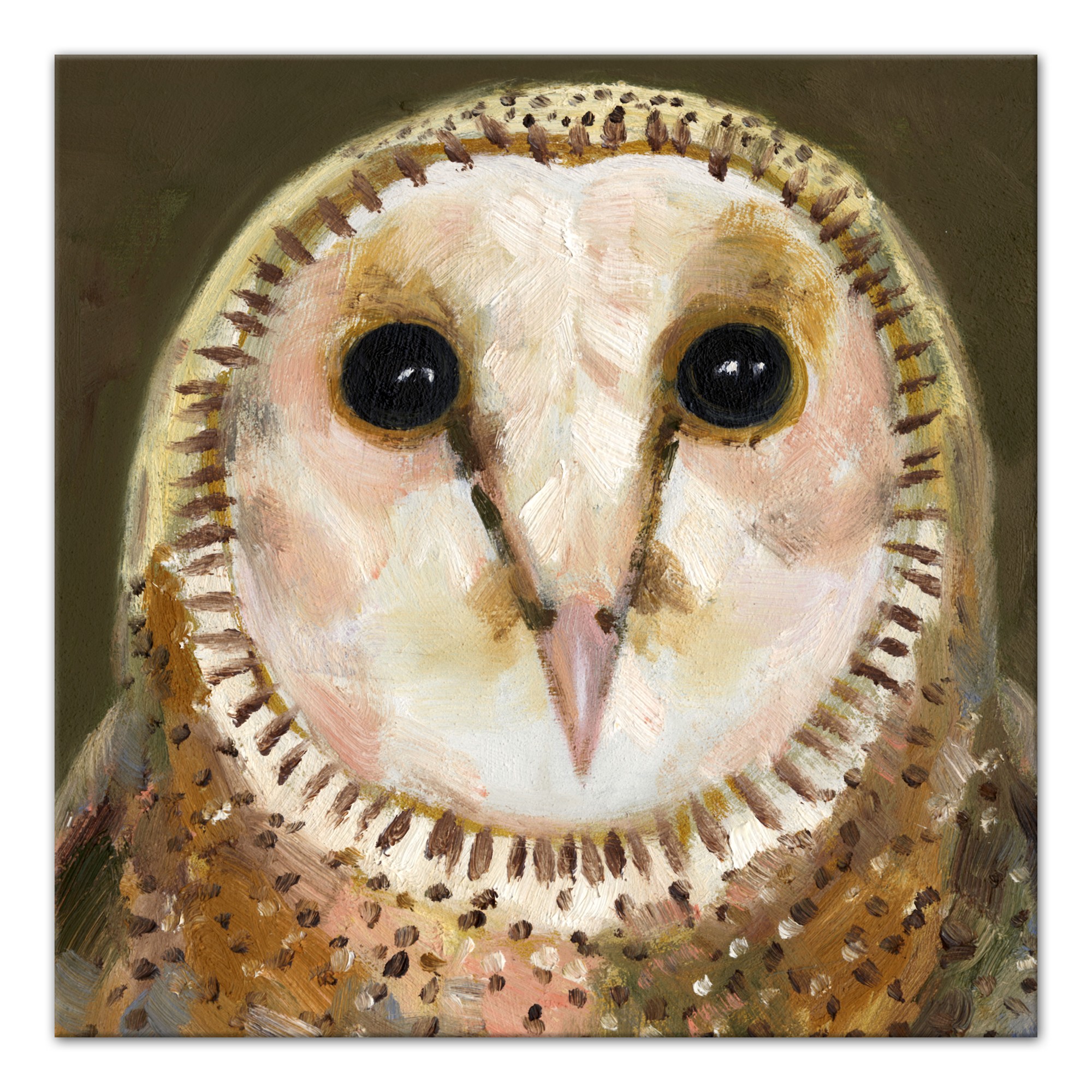 Green Owl 40 x 40 Canvas Wall Art
