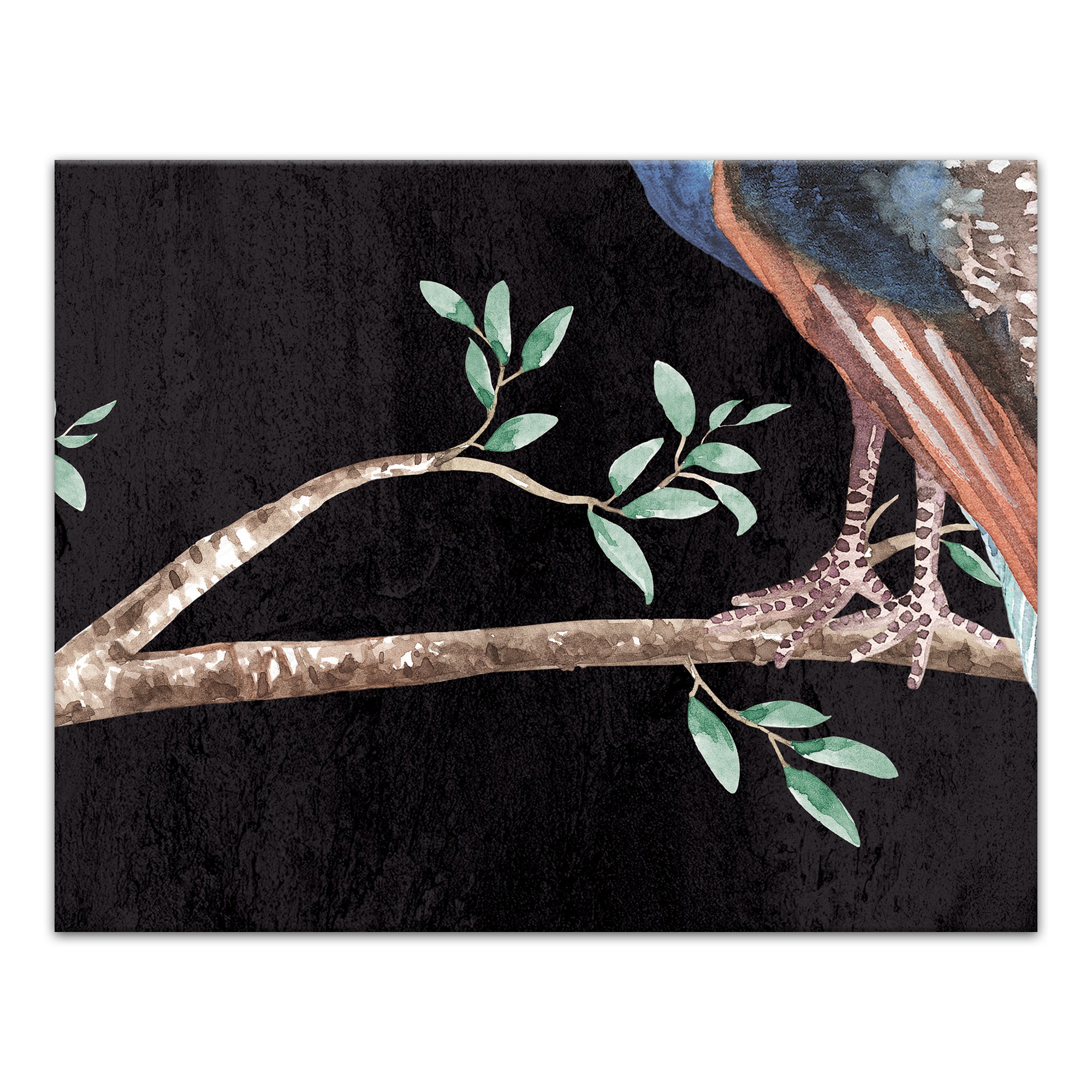 14 x 11 Canvas Wall Art