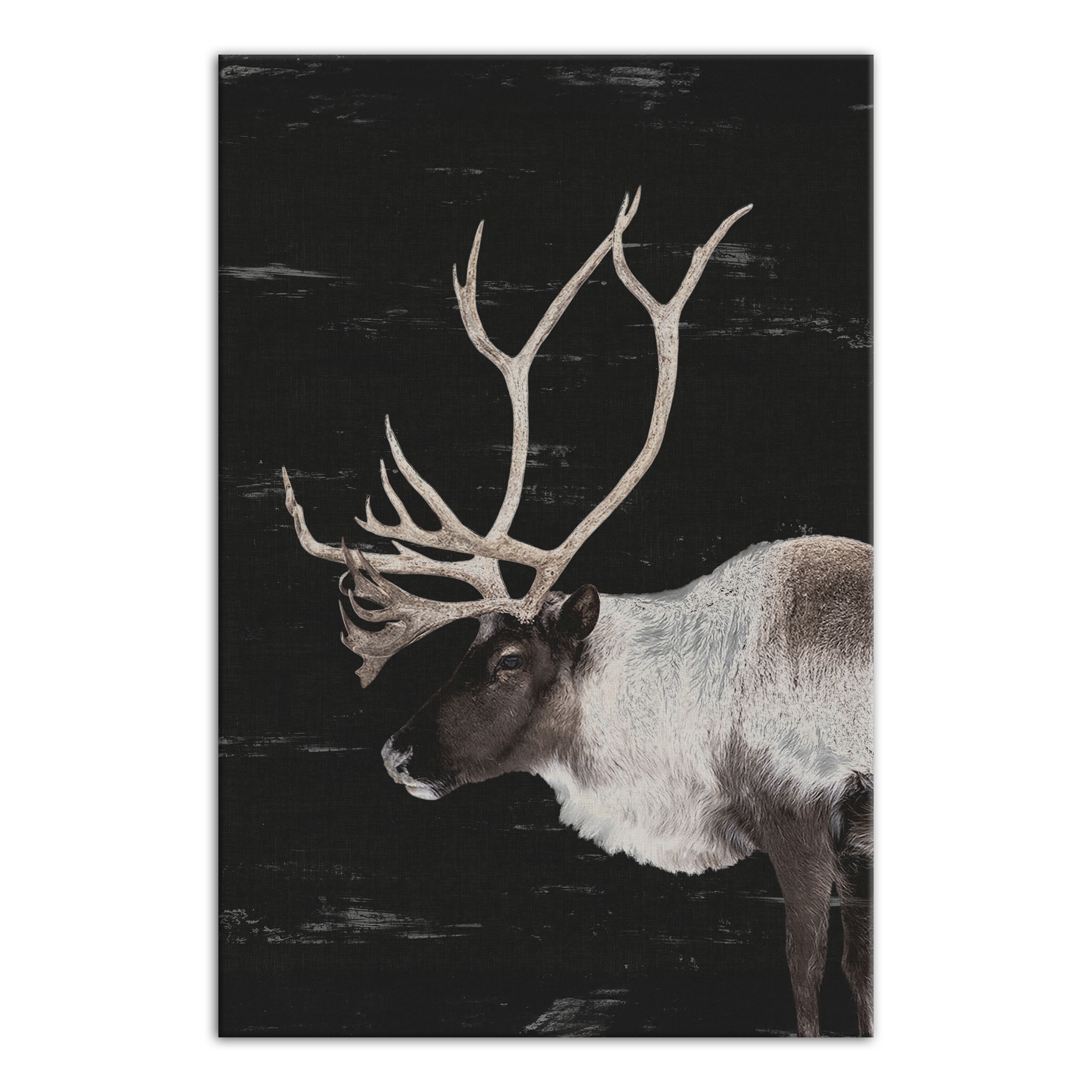 Reindeer Profile 20 x 30 Canvas Wall Art