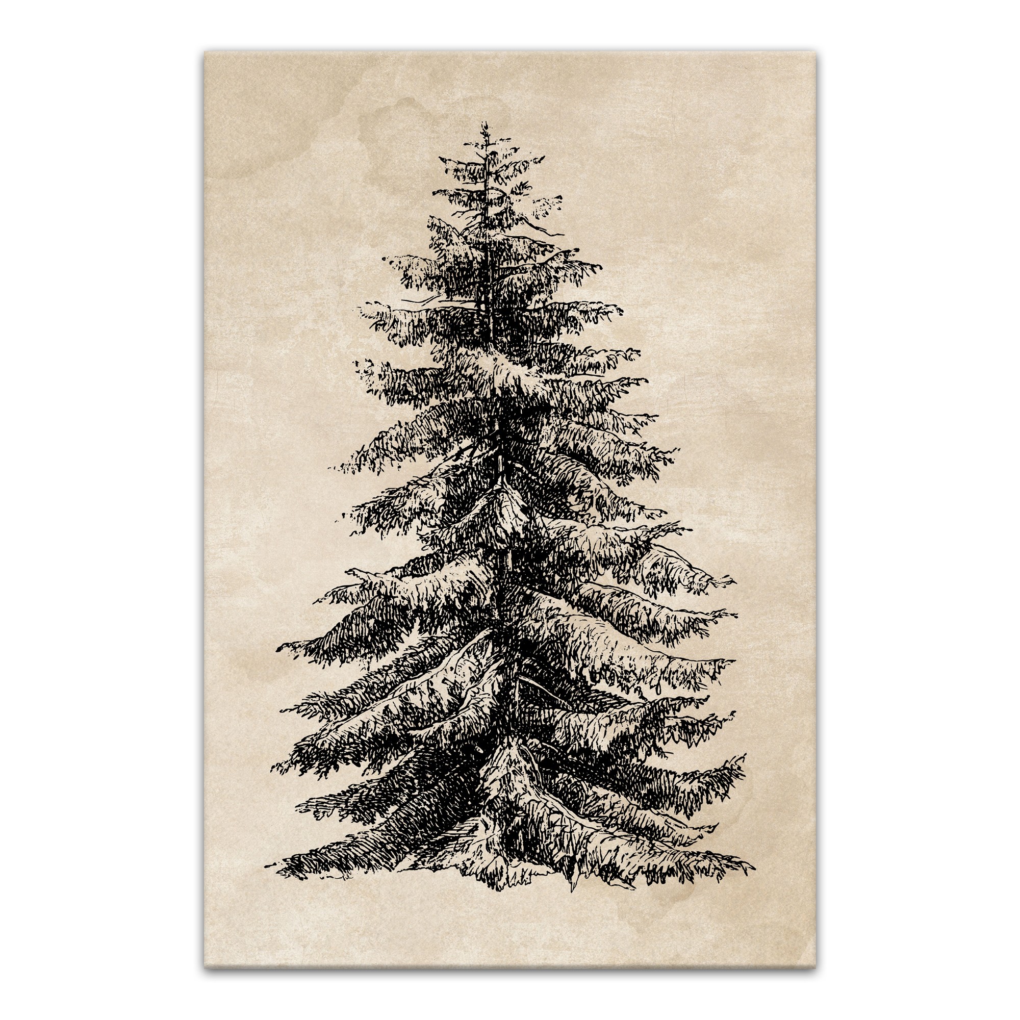 Woodcut Pine Tree 16 x 24 Canvas Wall Art