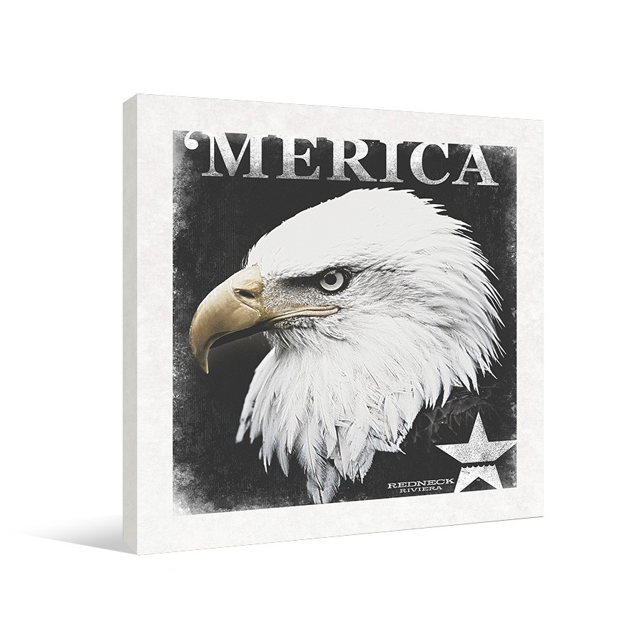 'Merica Eagle 16x16 Canvas Wall Art