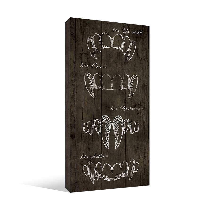 Fang Types 10x20 Canvas Wall Art