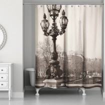 Afternoon In Paris 71x74 Shower Curtain