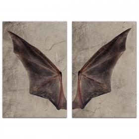 Bat Wing Set 20x30 Canvas Wall Art