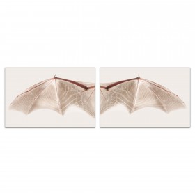 Neutral Bat Wing Cream Set 20x30 Canvas Wall Art