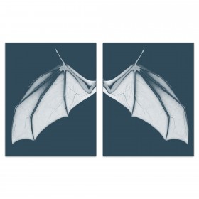Bat Wing Blue Set 20x30 Canvas Wall Art
