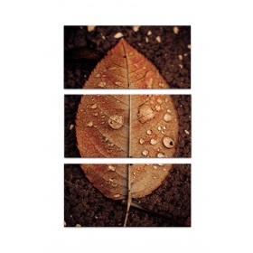 Split Brown Leaf Set 10x20 Canvas Wall Art