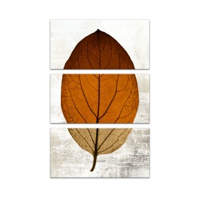 Split Fall Leaf Set 10x20 Canvas Wall Art