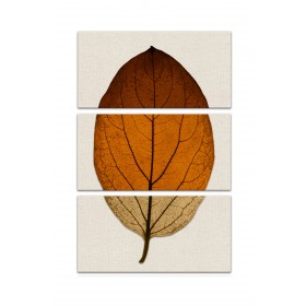 Split Fall Leaf On Linen Set 10x20 Canvas Wall Art
