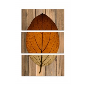 Split Leaf On Wood Set 10x20 Canvas Wall Art