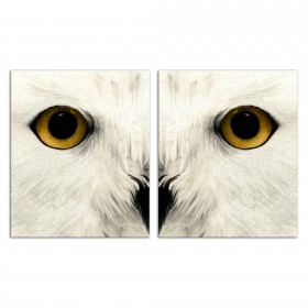 Muted Owl Face Set 20x24 Canvas Wall Art